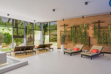 a room with chairs and plants