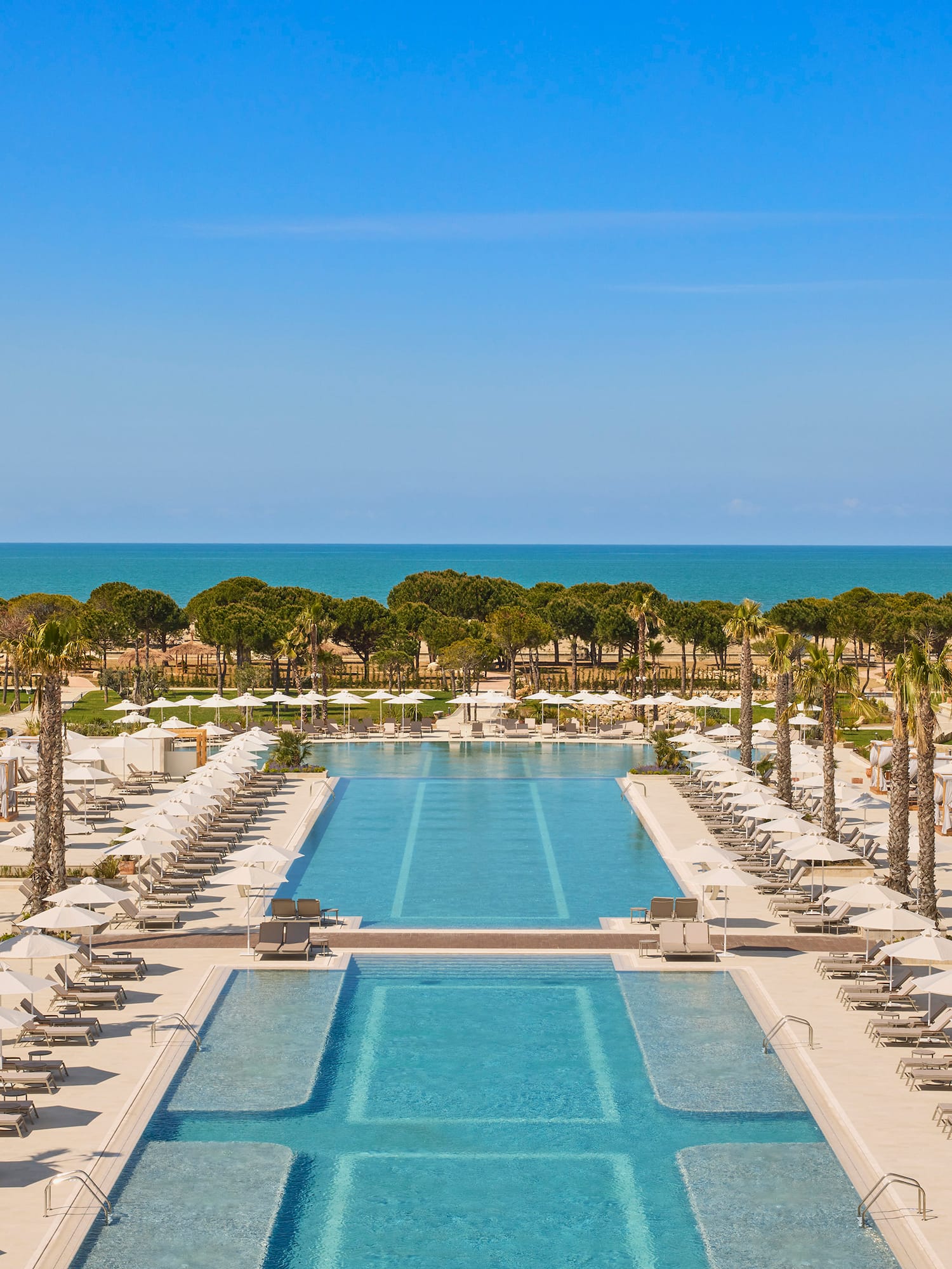 a swimming pool with palm trees and a large pool