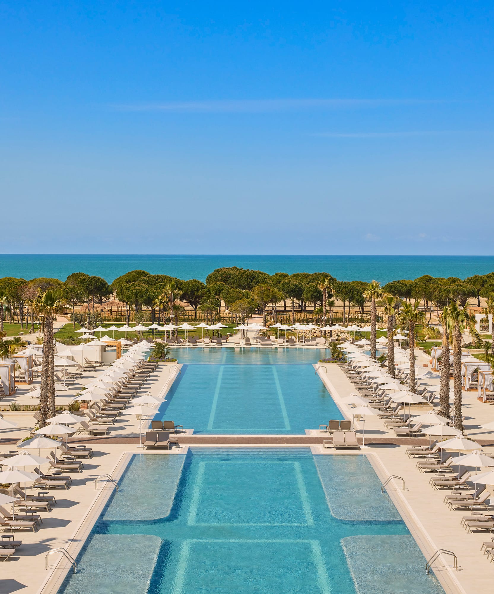 a swimming pool with palm trees and a large pool