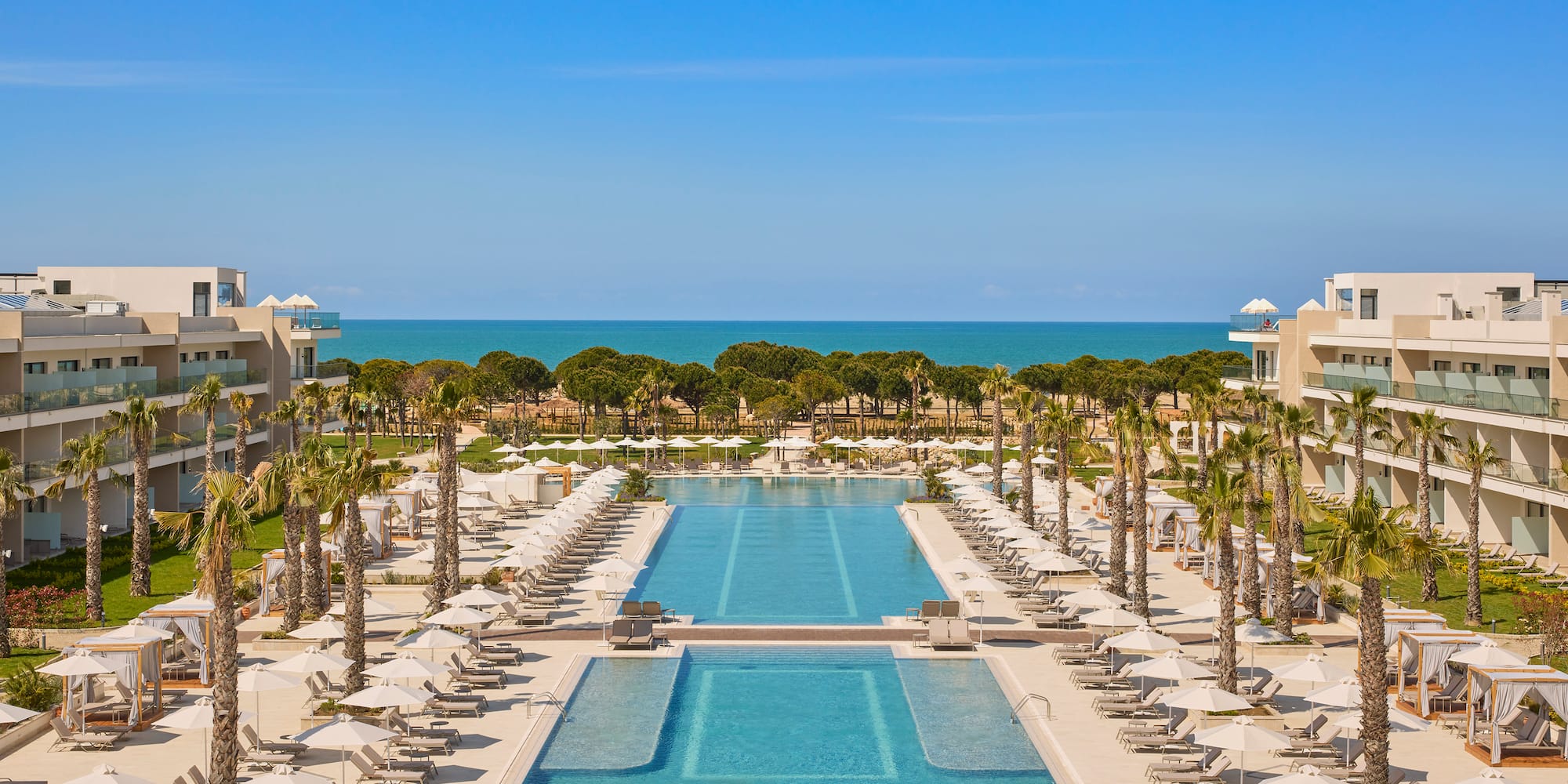 a swimming pool with palm trees and a large pool