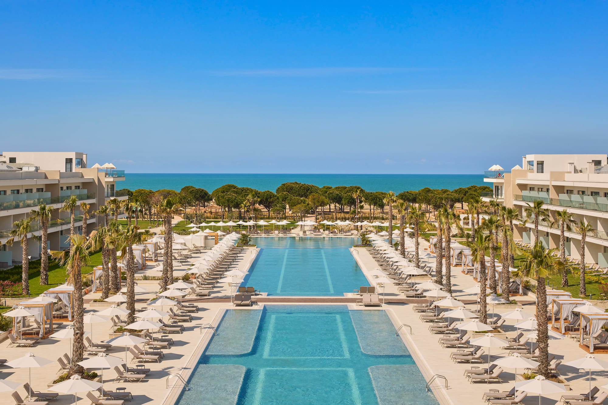 a swimming pool with palm trees and a large pool