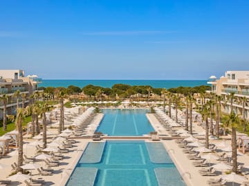 a swimming pool with palm trees and a large pool