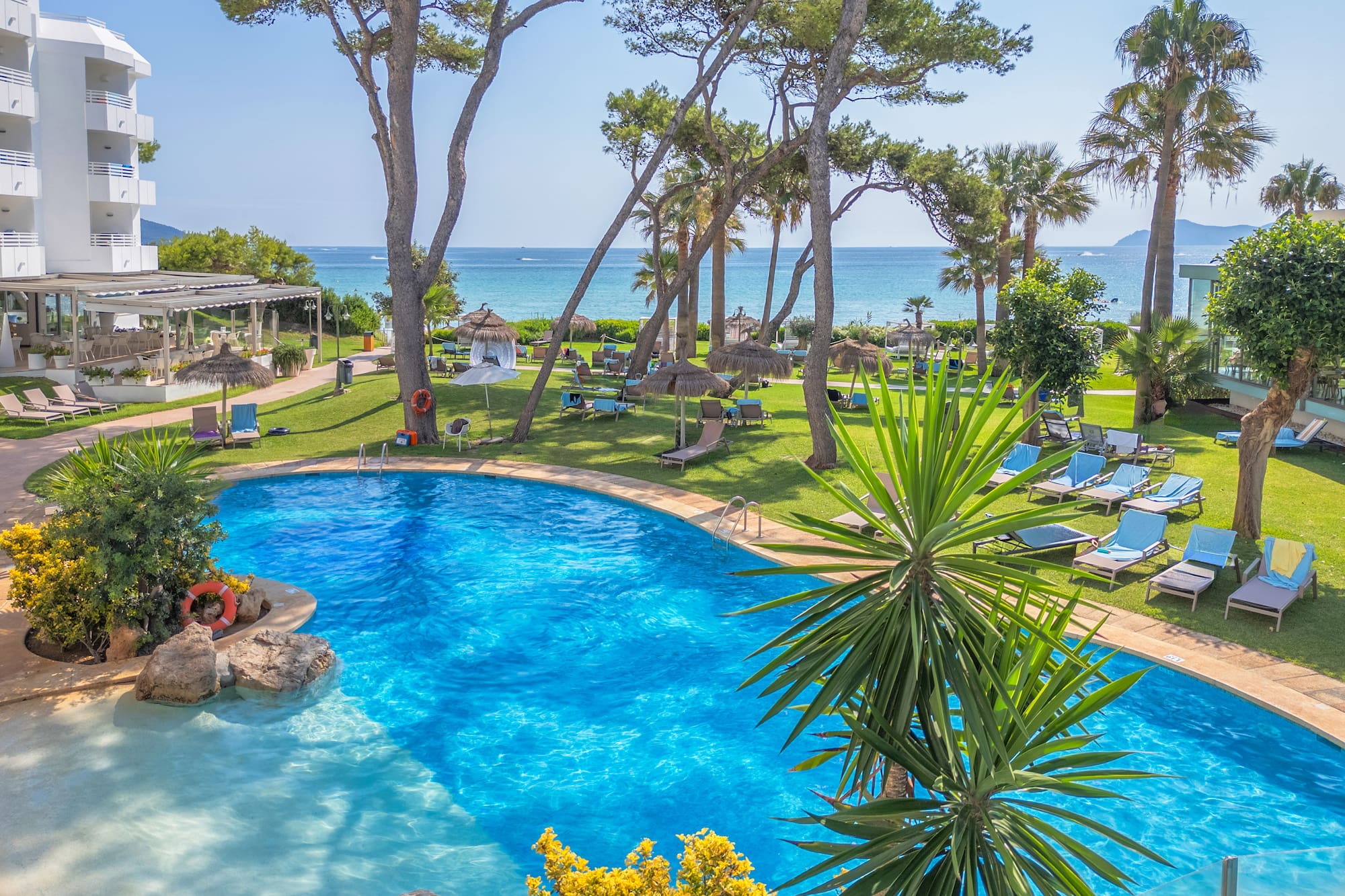 a swimming pool with trees and chairs