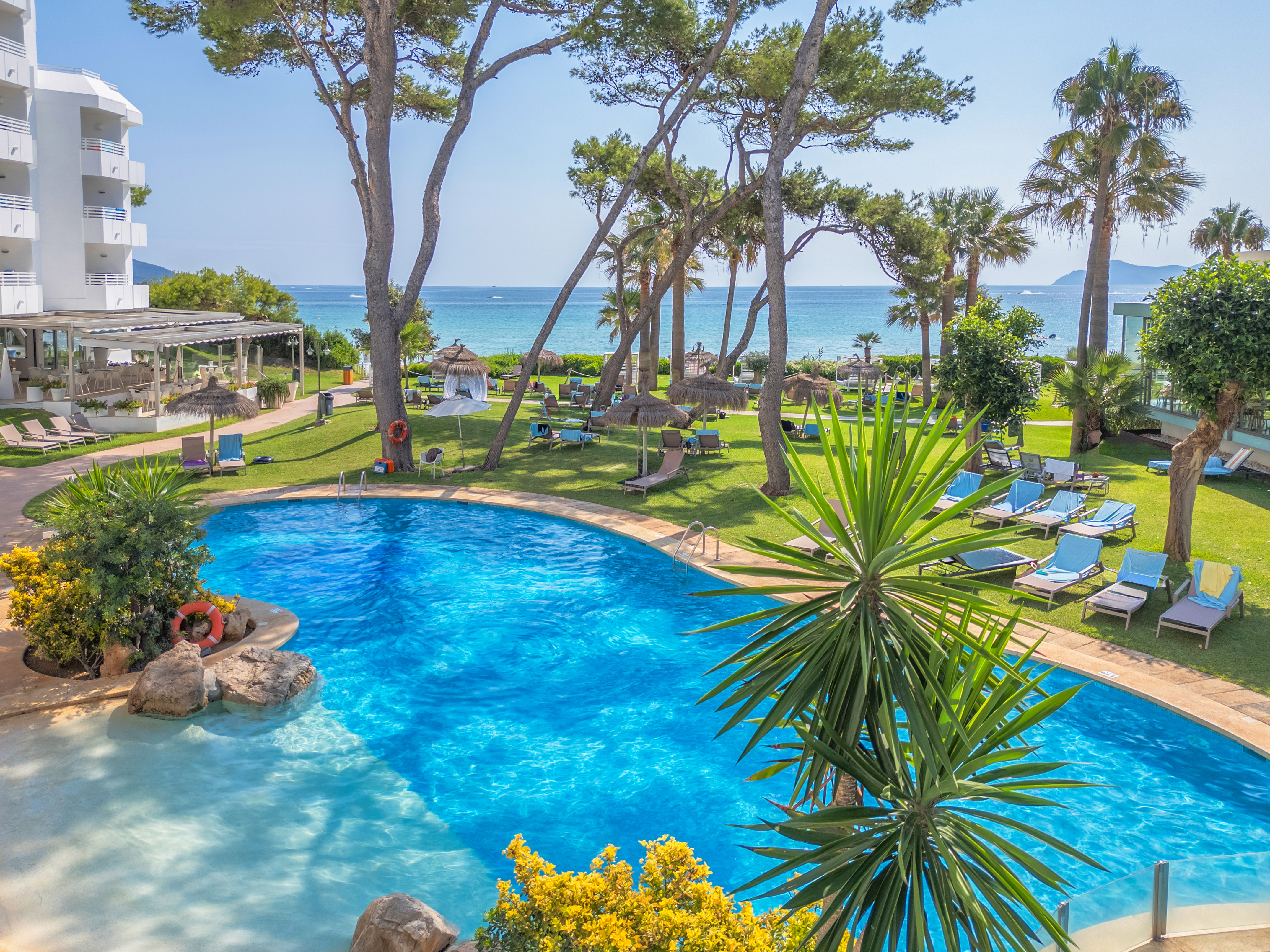 a swimming pool with trees and chairs