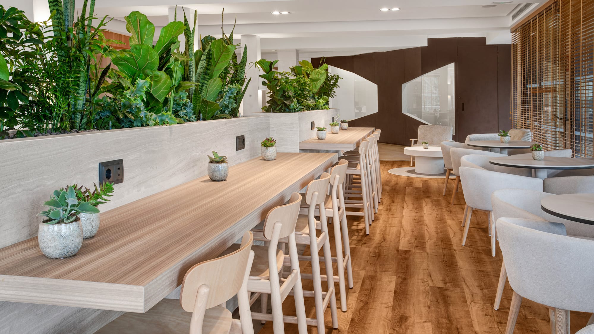 a room with tables and chairs and plants