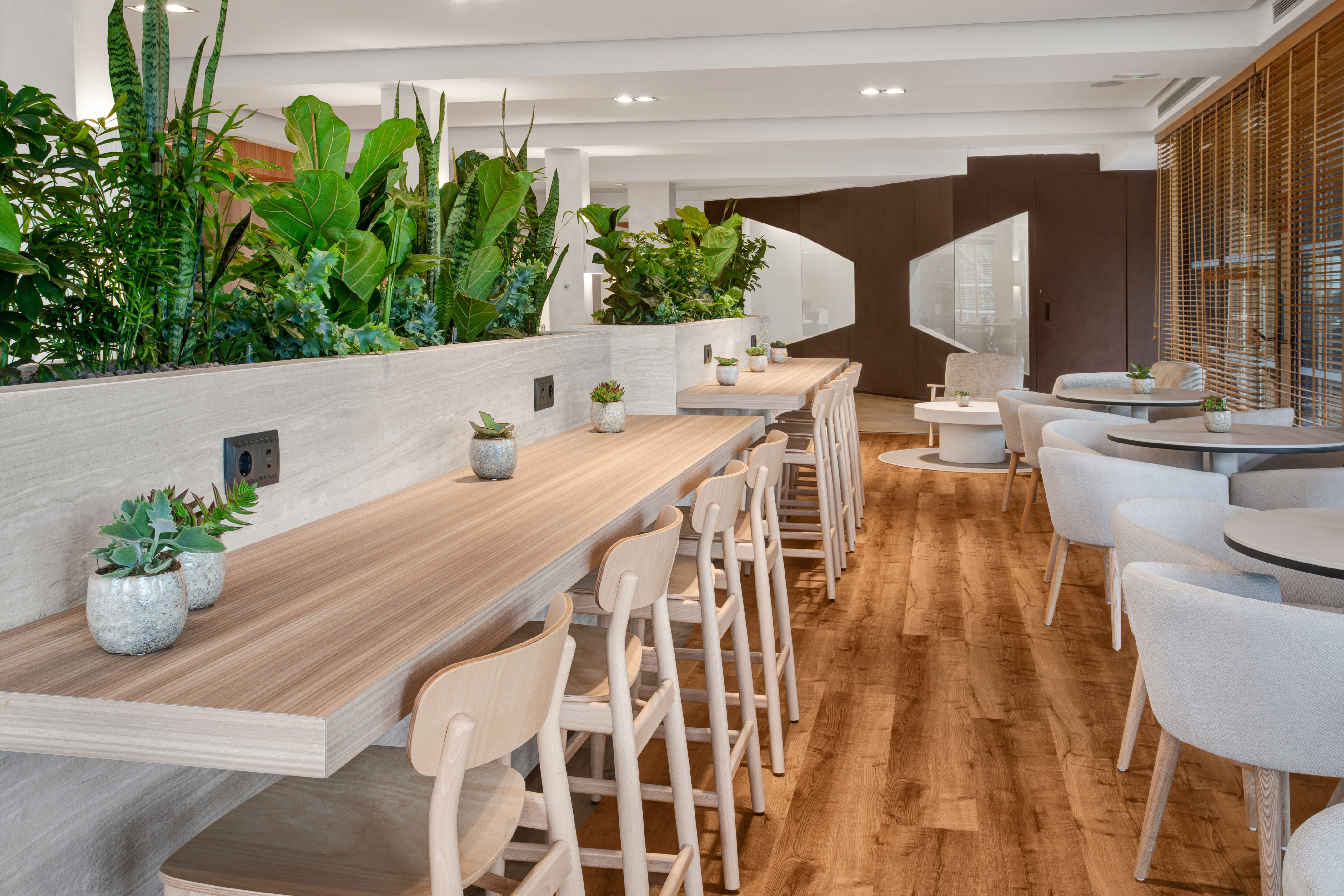 Modern cafe with long wooden tables, bar stools, and lush green plant decor.