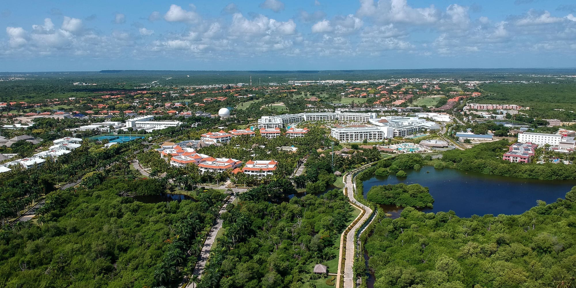 a landscape with trees and buildings