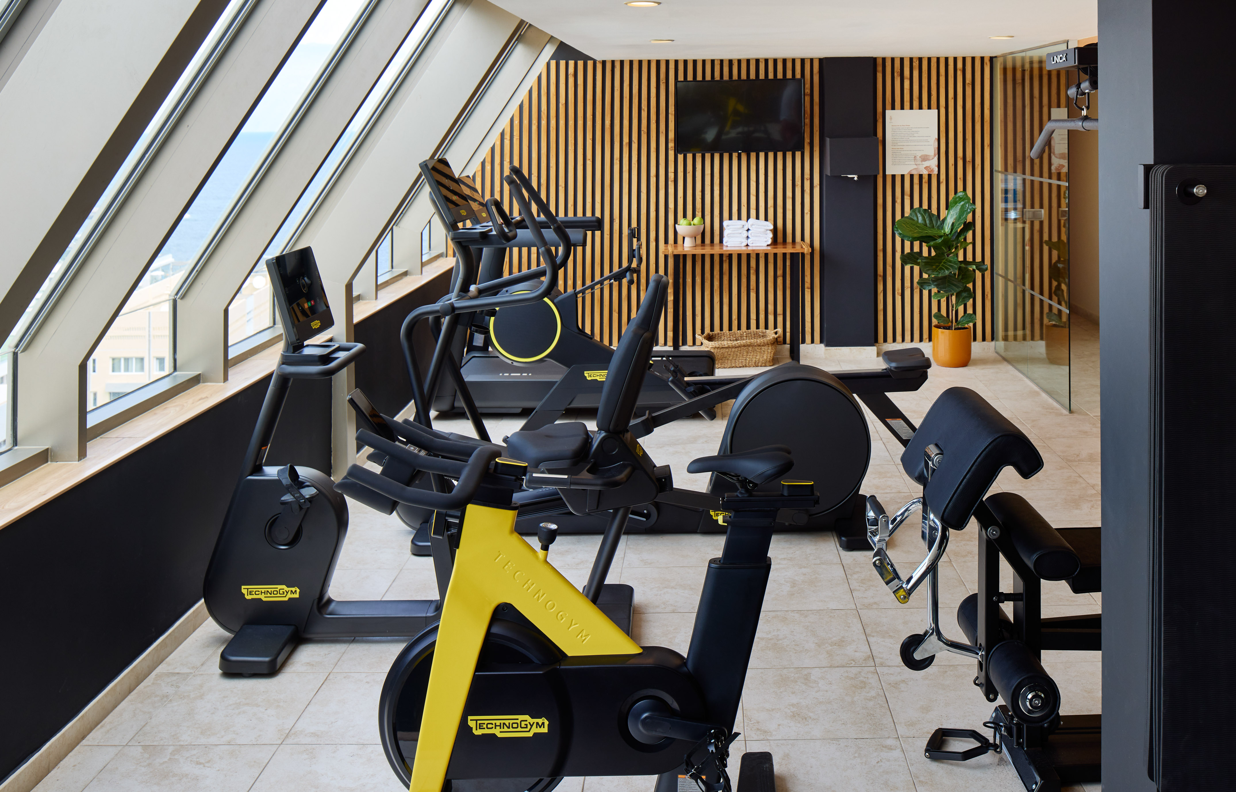 Modern Technogym gym with diverse fitness equipment and scenic large windows.