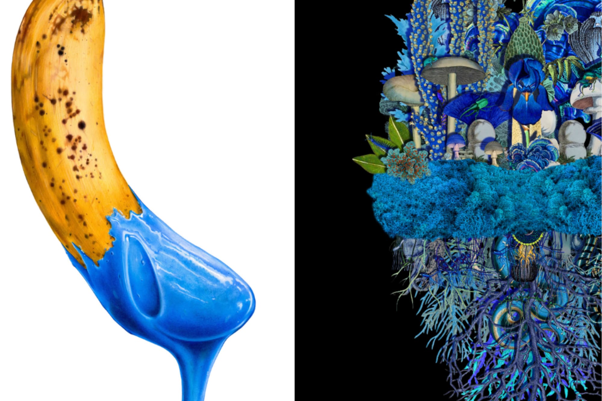 a banana with blue paint dripping from it