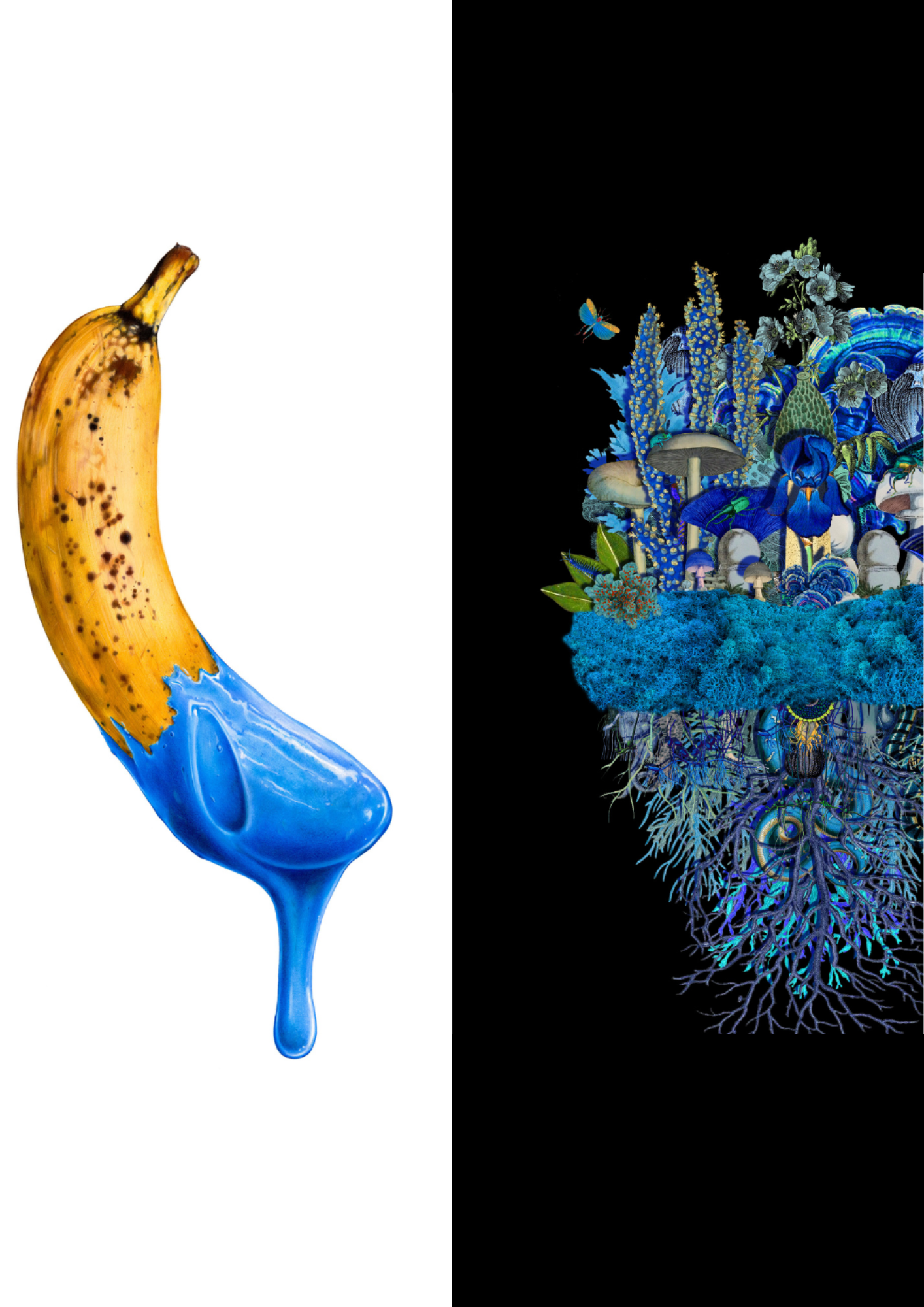 a banana with blue paint dripping from it