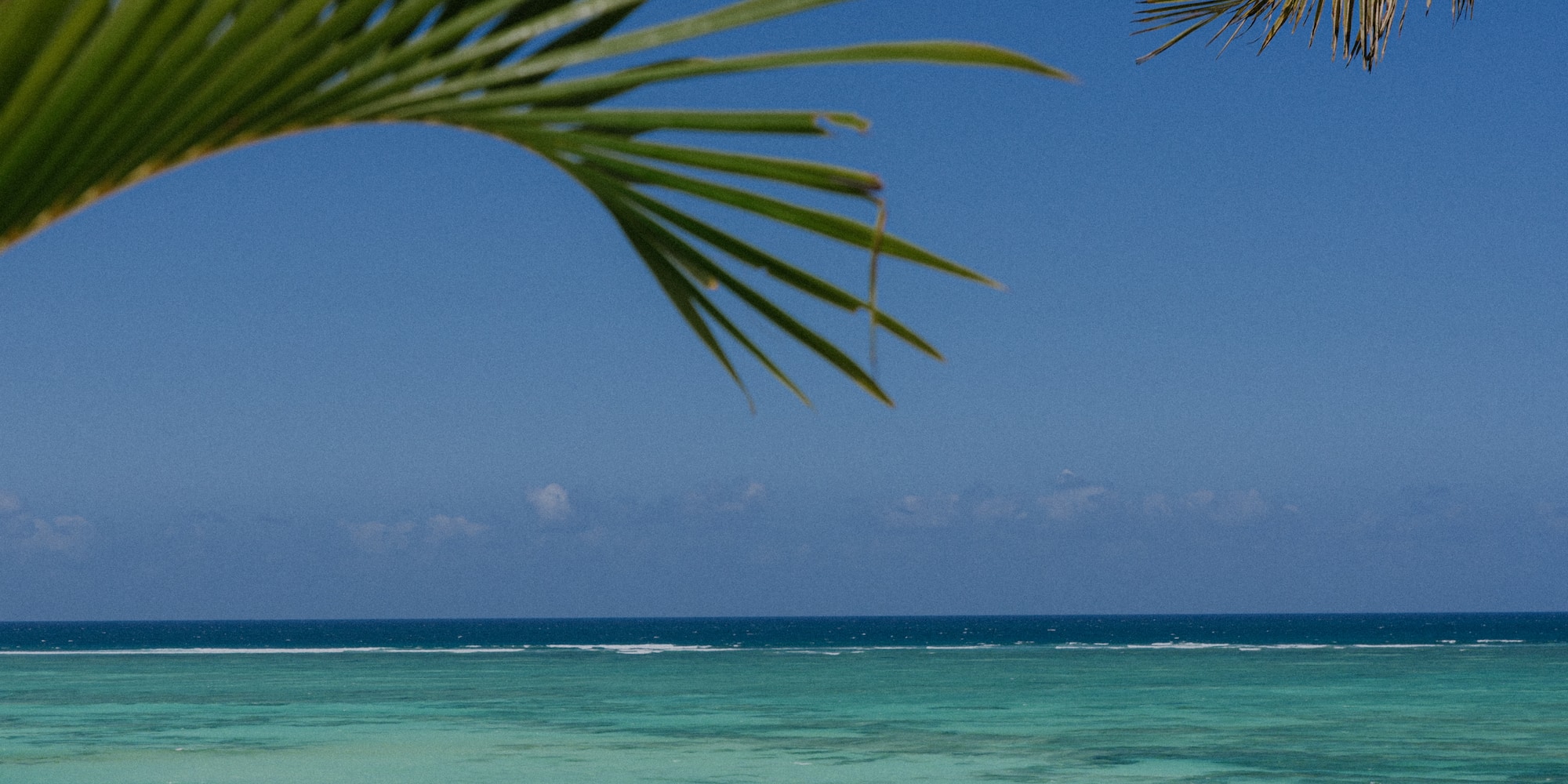 a person lying in a hammock on a beach