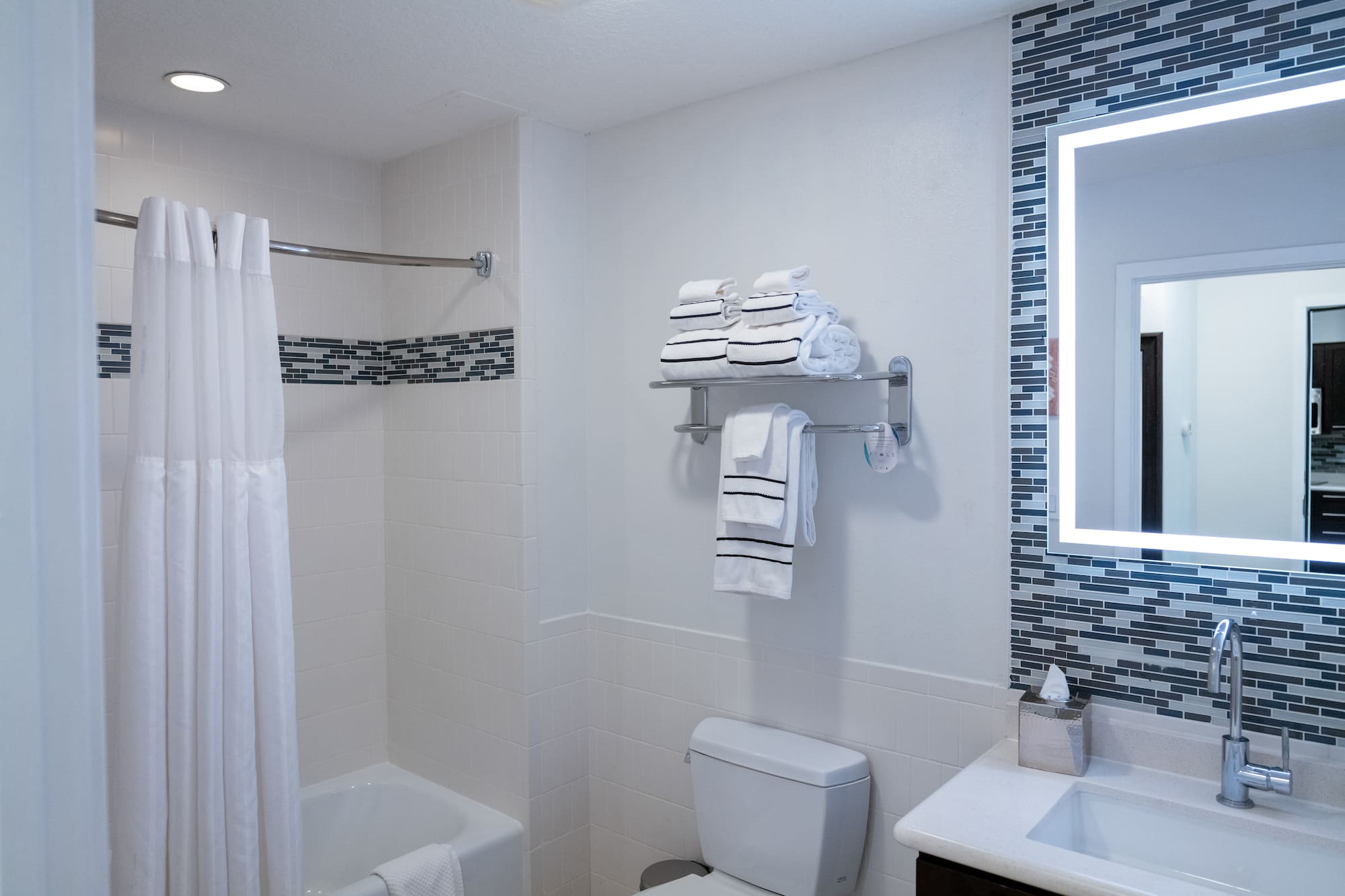 a bathroom with a shower and bathtub