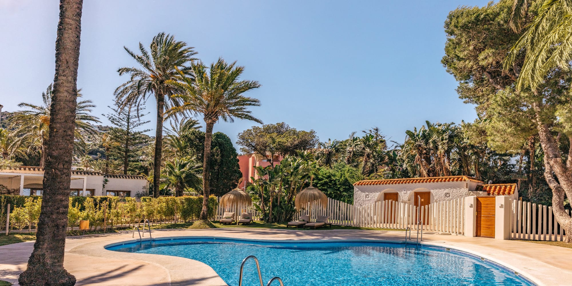 Resort swimming pool with blue water, palm trees, and sun loungers.