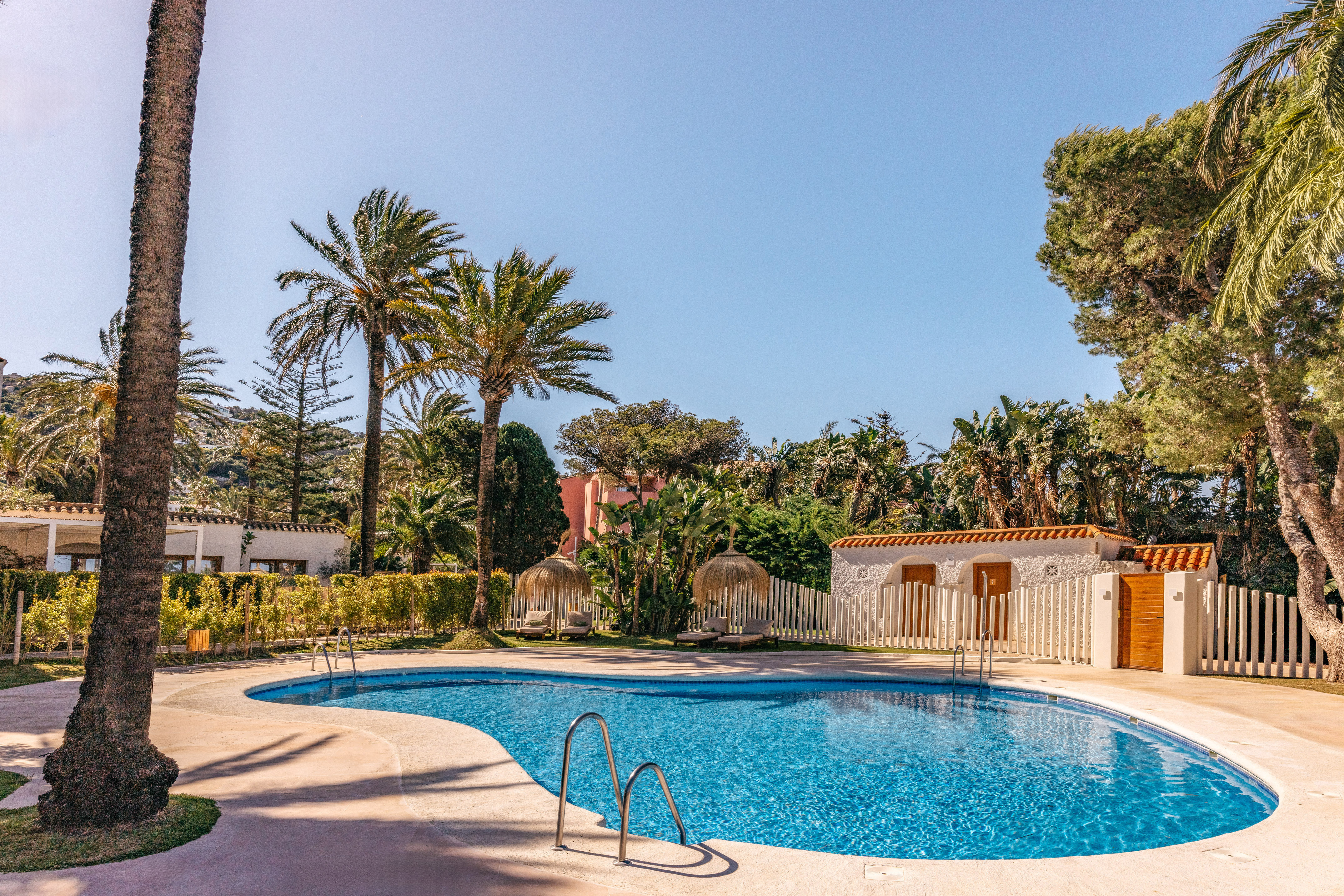 Resort swimming pool with blue water, palm trees, and sun loungers.