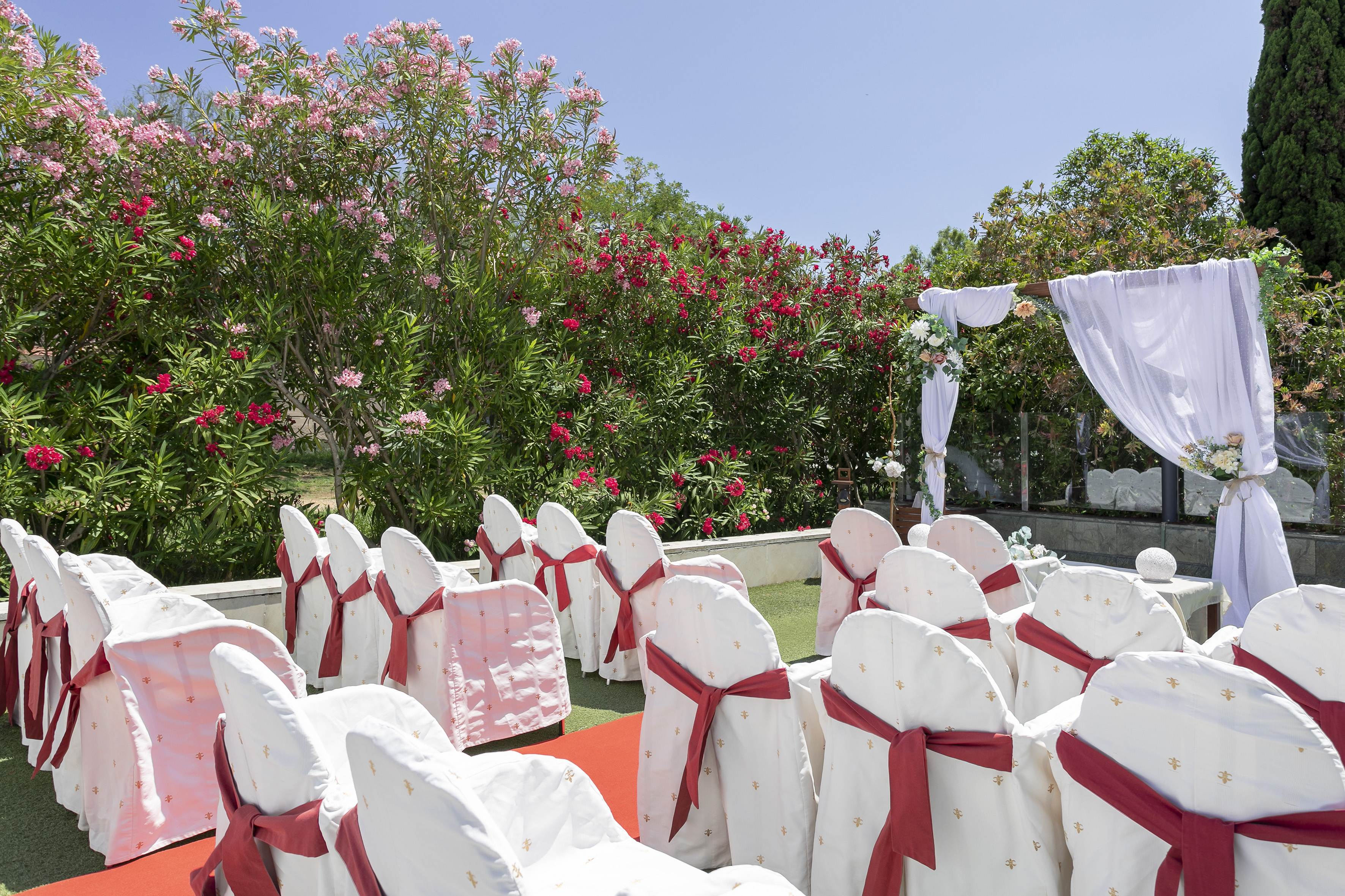 Wedding ceremony chairs, red sashes, red carpet, floral arch in garden.