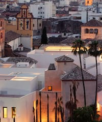 a group of buildings with palm trees