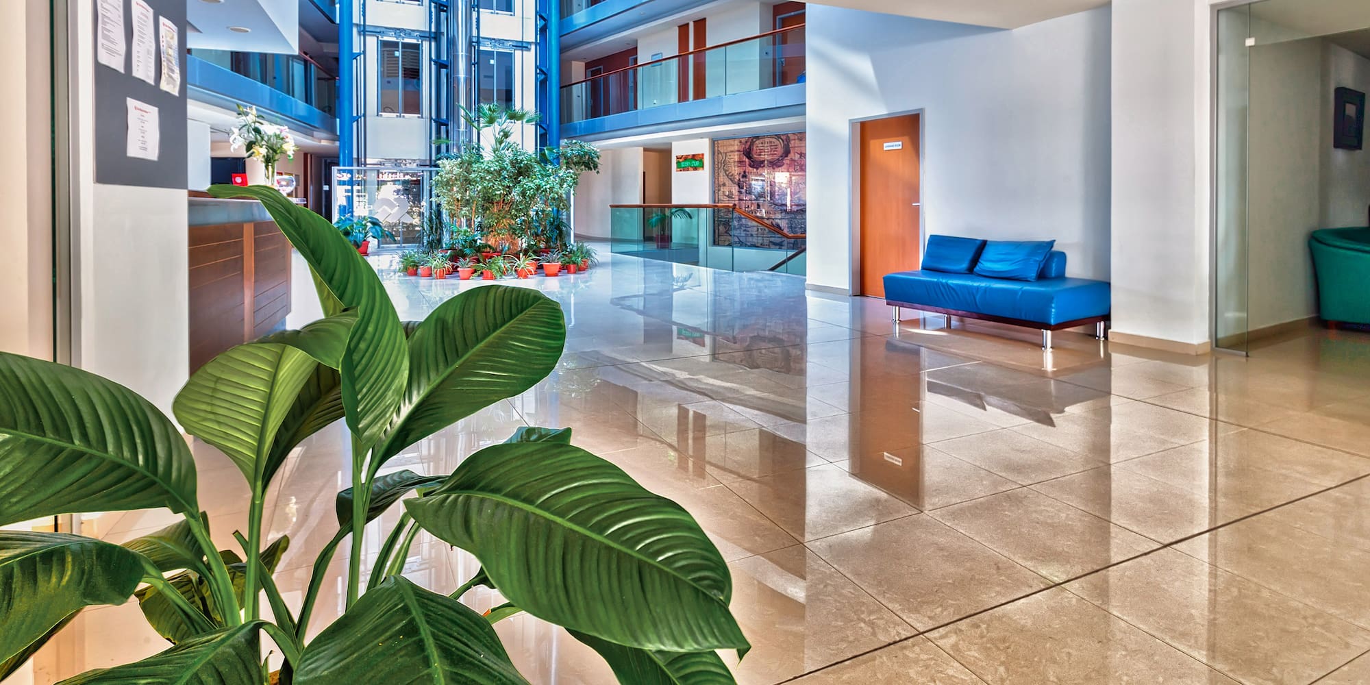 a large plant in a lobby