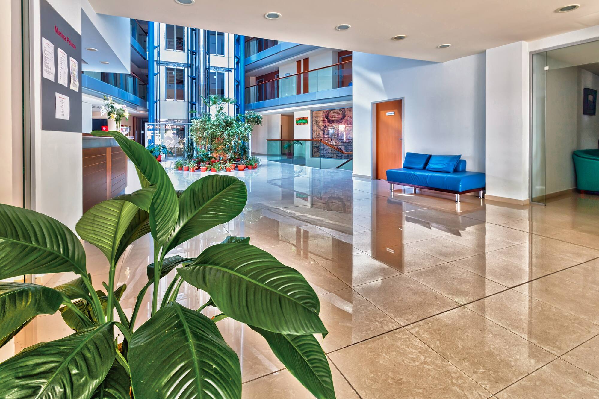 a large plant in a lobby