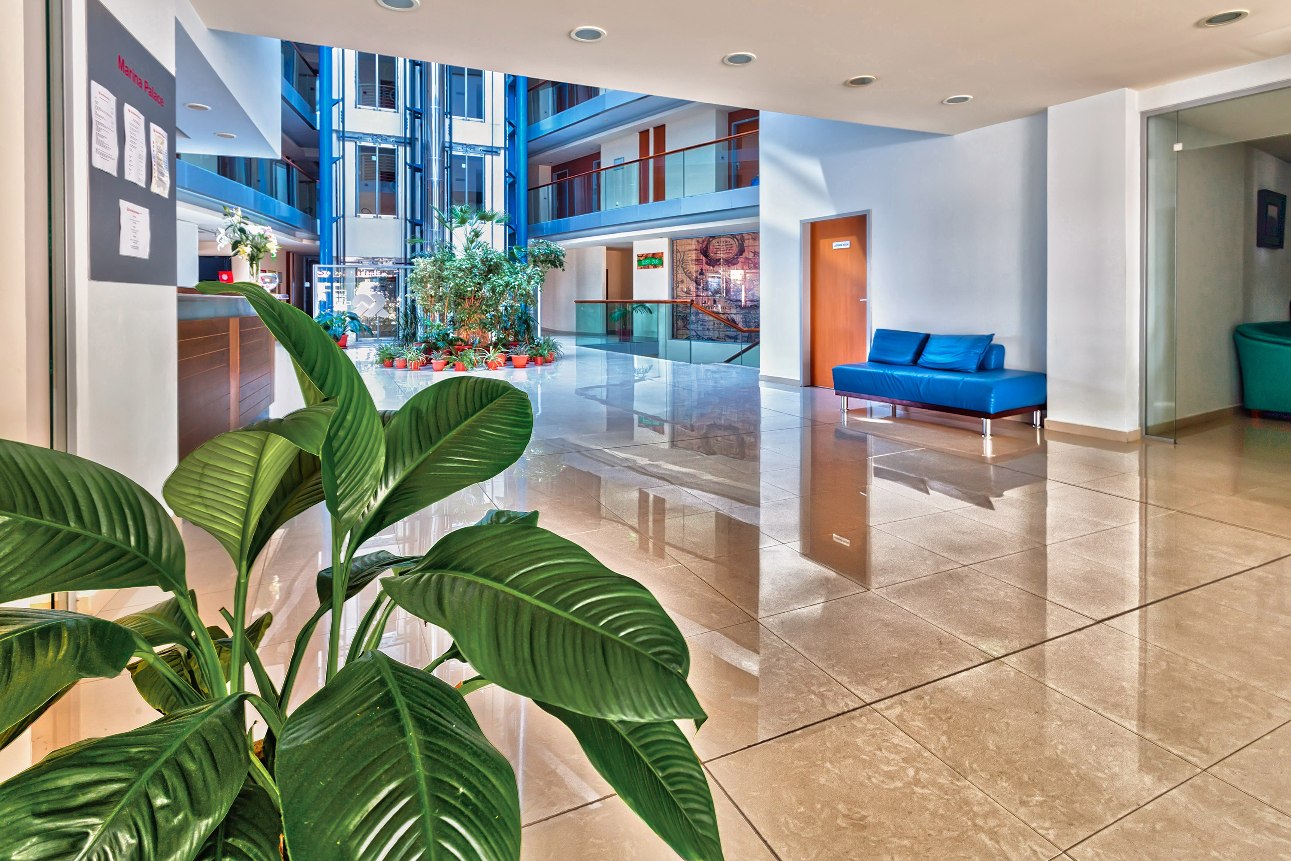 a large plant in a lobby