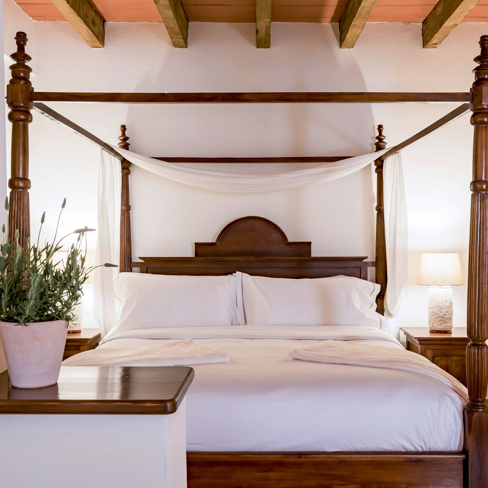 a bed with a canopy bed and a plant in a pot