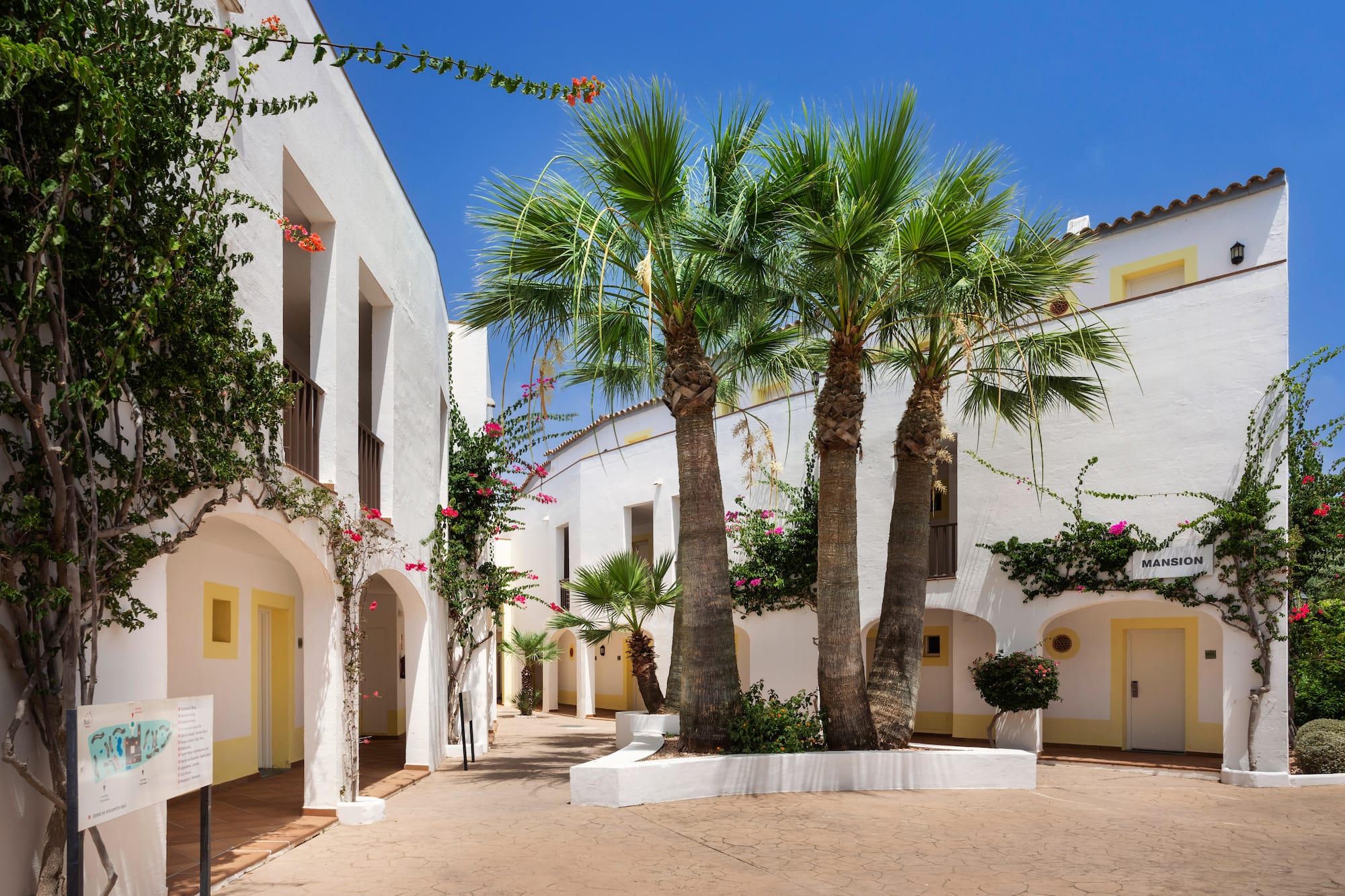 Sunny courtyard with white buildings, palm trees, and pink bougainvillea.