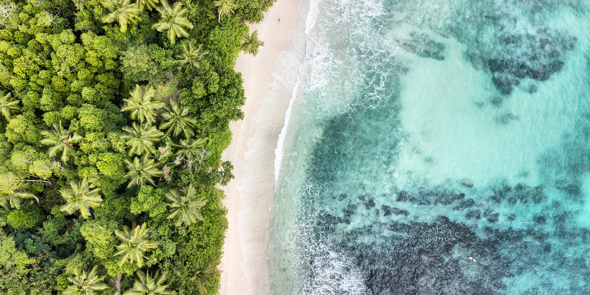 Vista aérea de playa tropical con palmeras, arena blanca y mar turquesa.