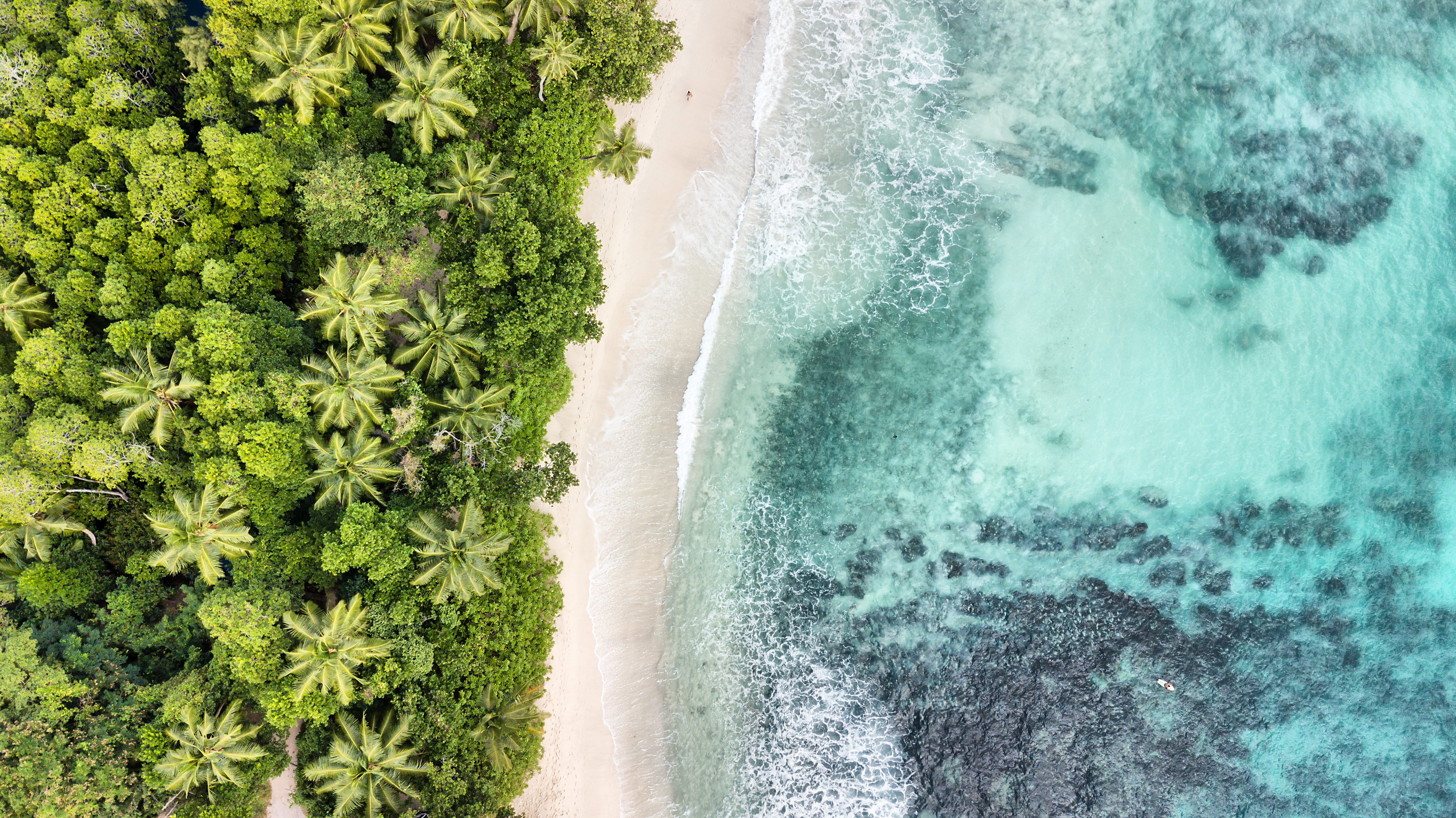 Vista aérea de playa tropical con palmeras, arena blanca y mar turquesa.