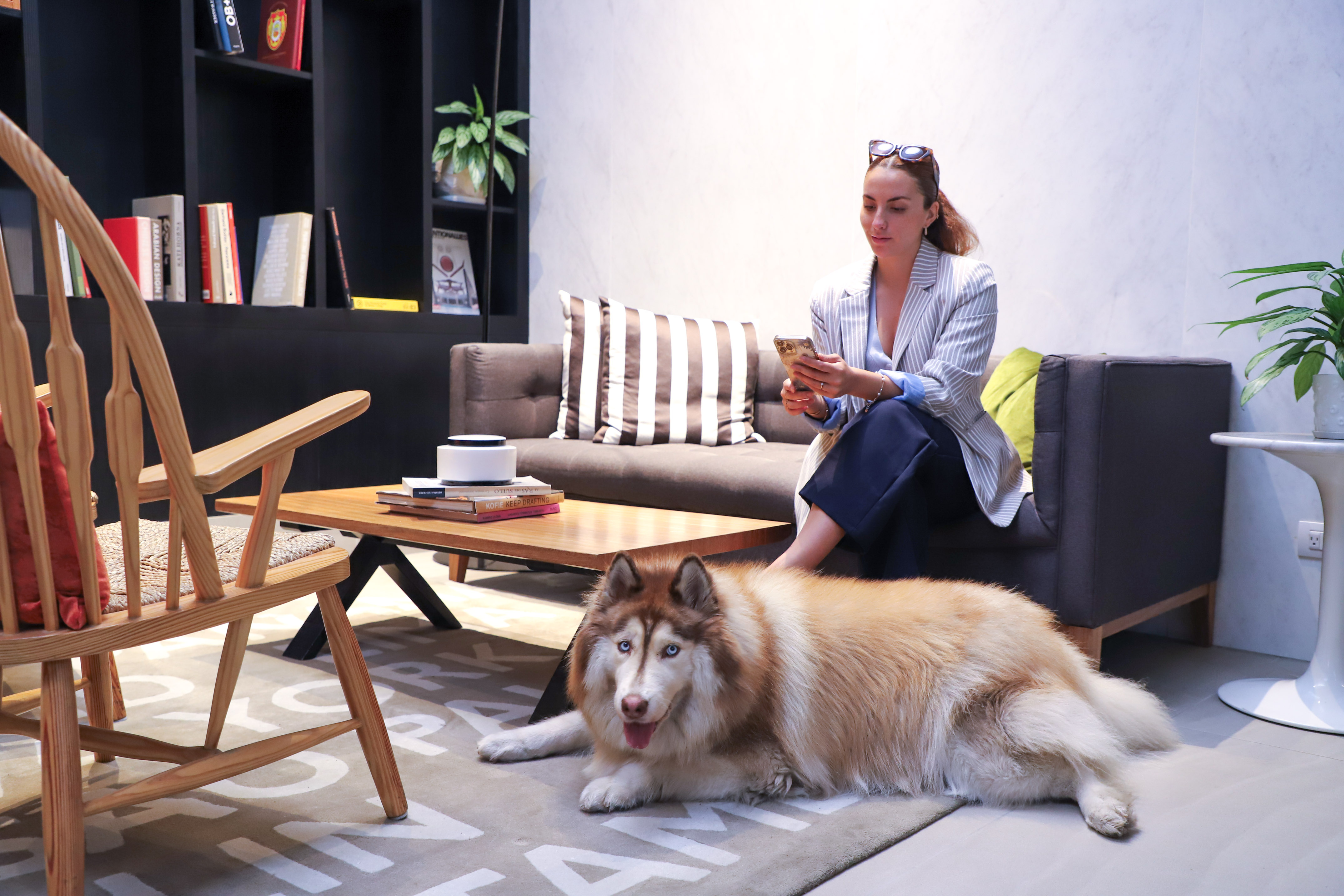 Woman on sofa using phone, husky dog lying on rug in modern living room.