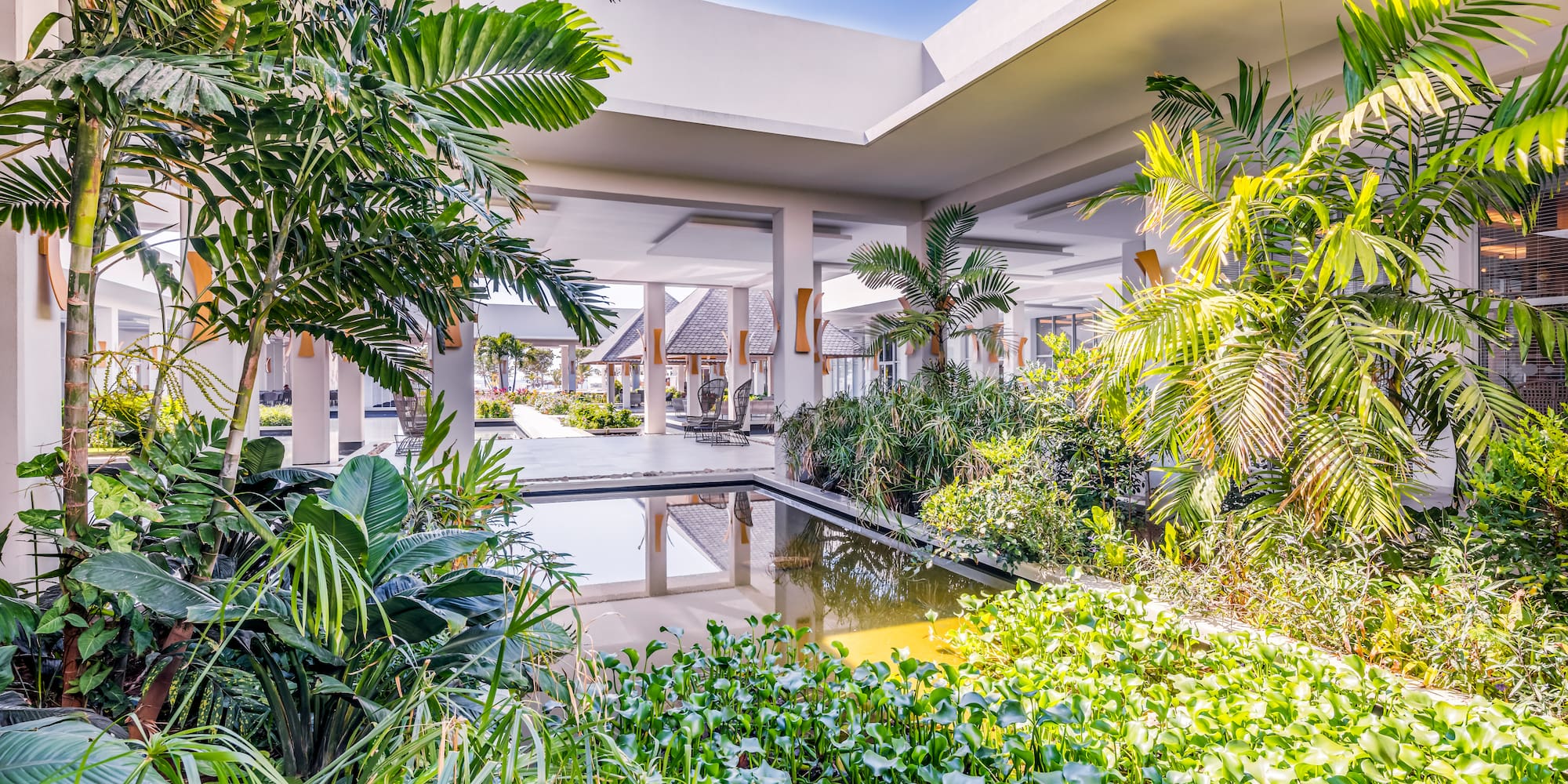 a pool with plants around it
