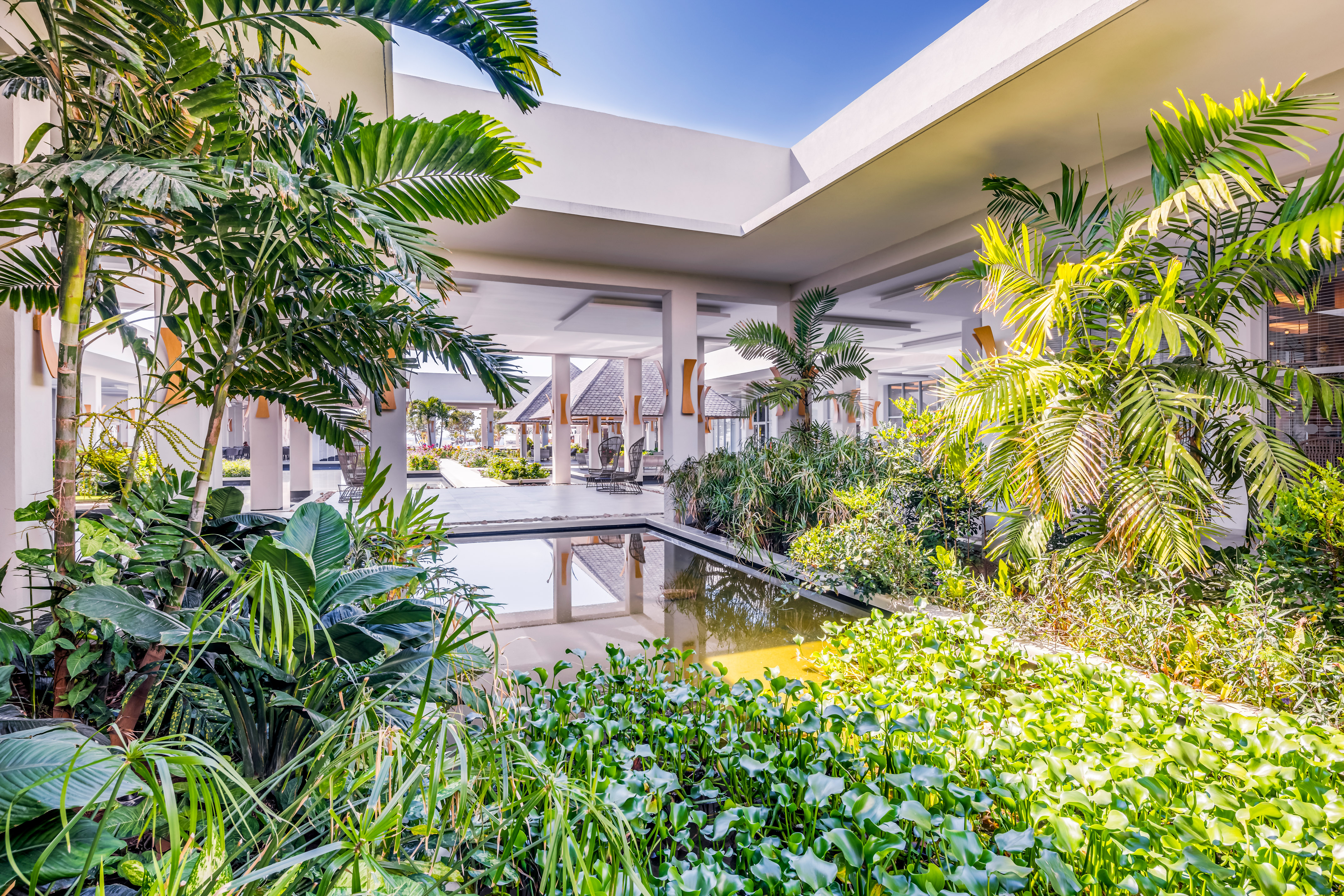 a pool with plants around it