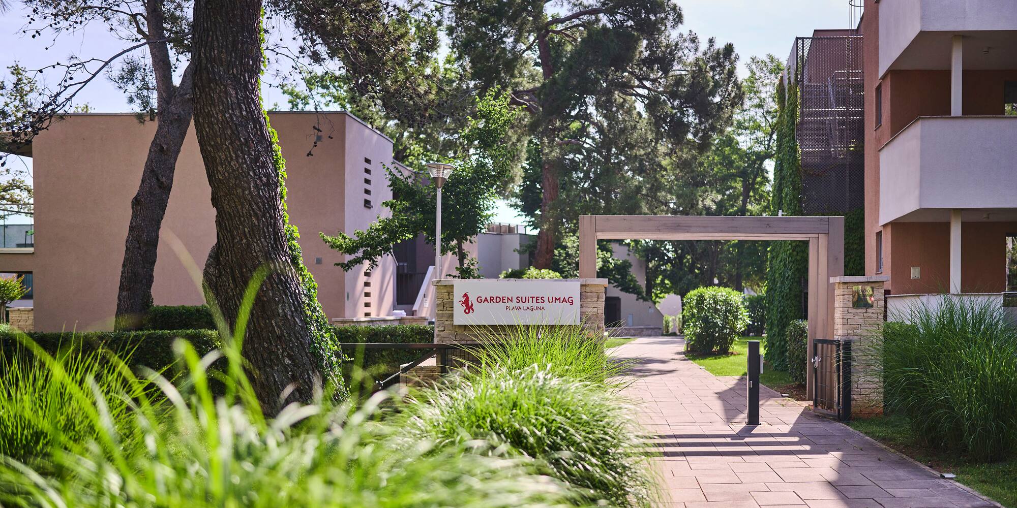 a walkway with trees and bushes