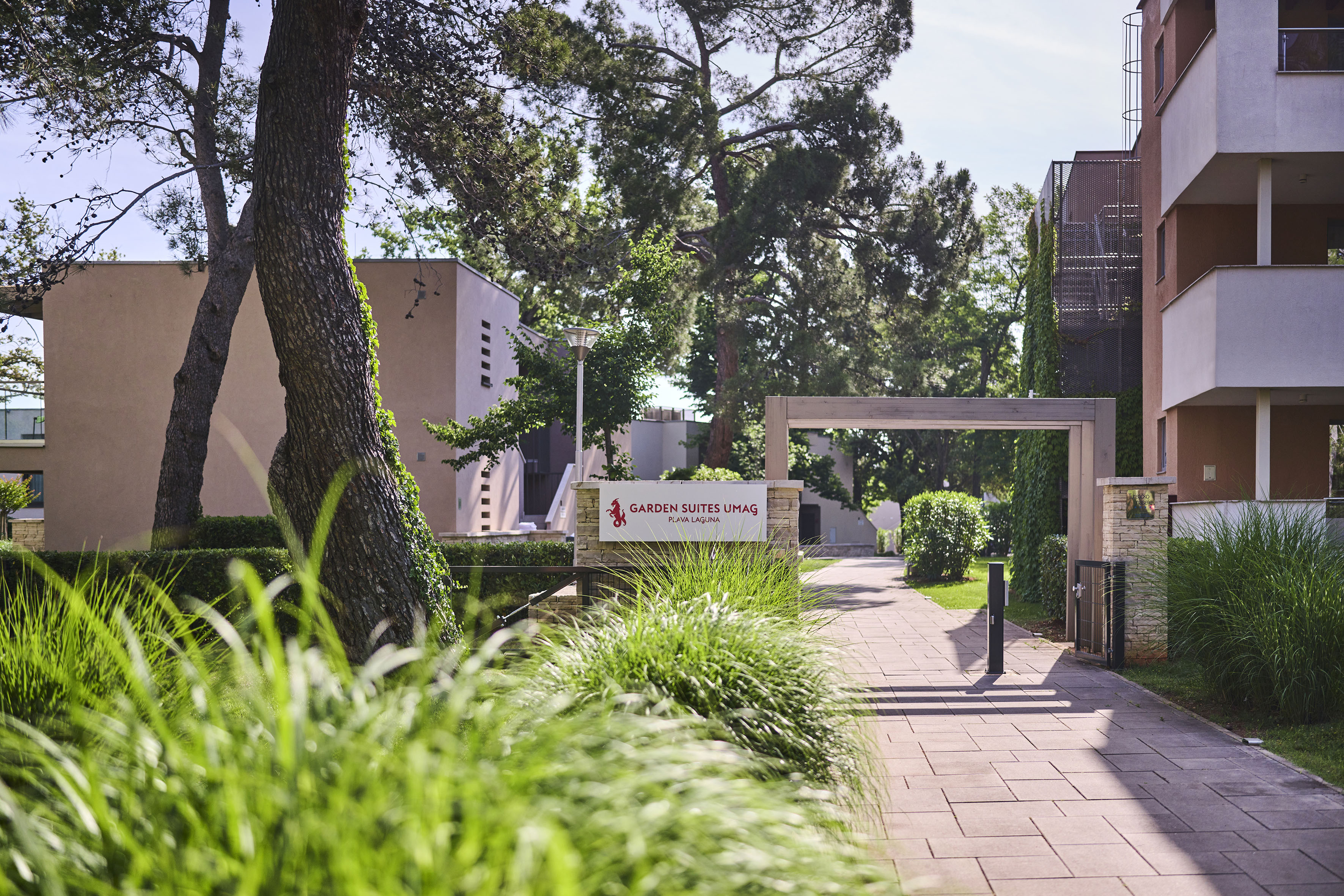 a walkway with trees and bushes