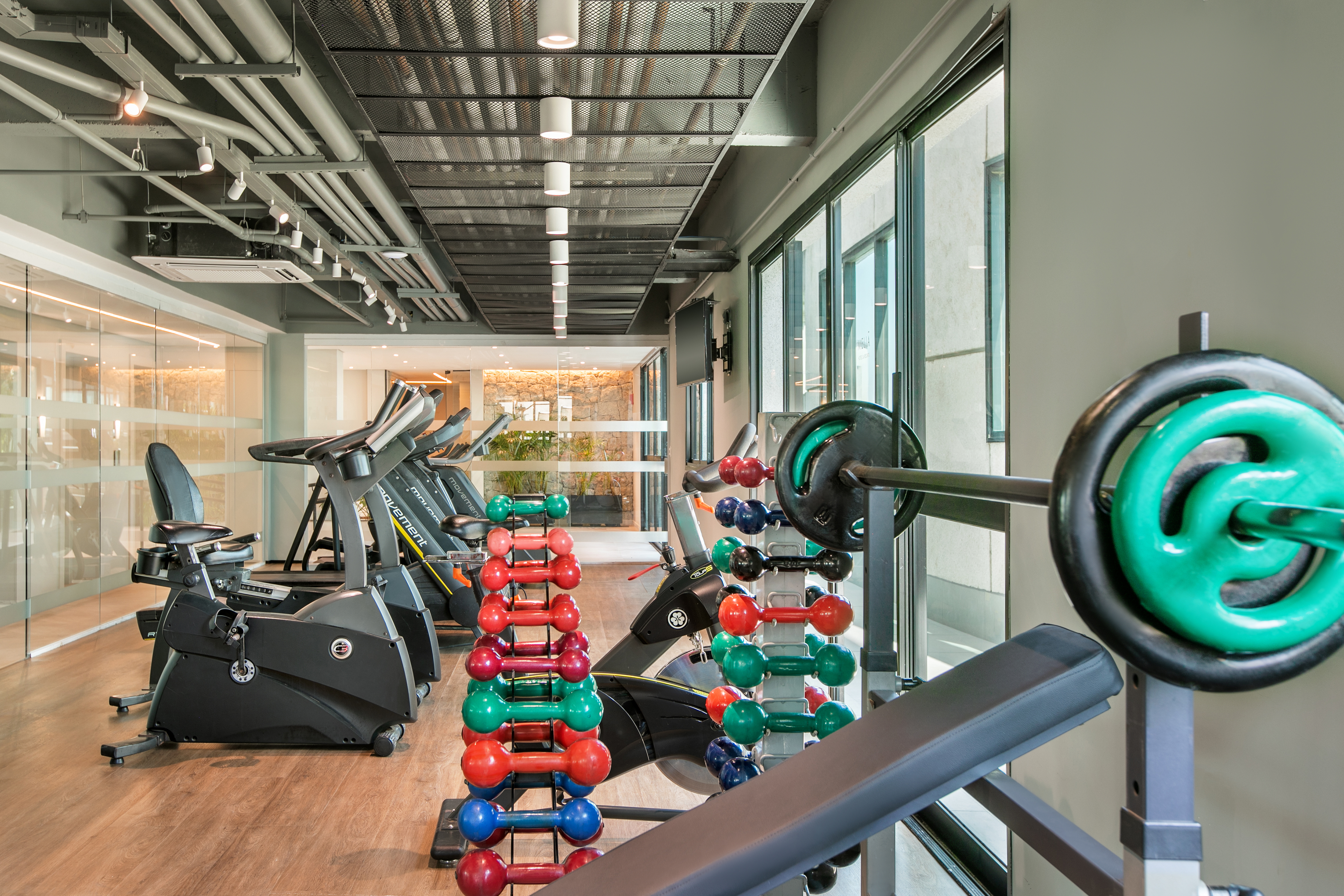 Modern fitness center with treadmills, colorful dumbbells, and barbell.