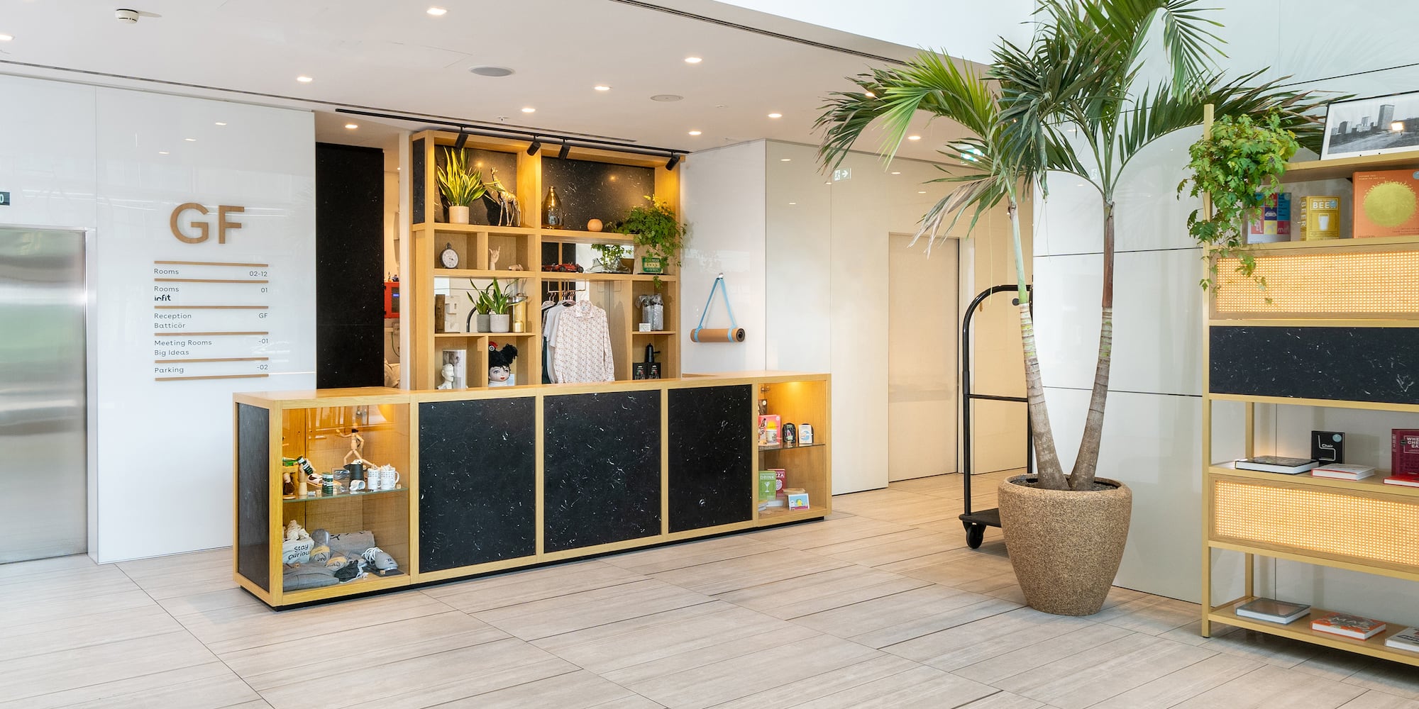 a room with a palm tree and a counter