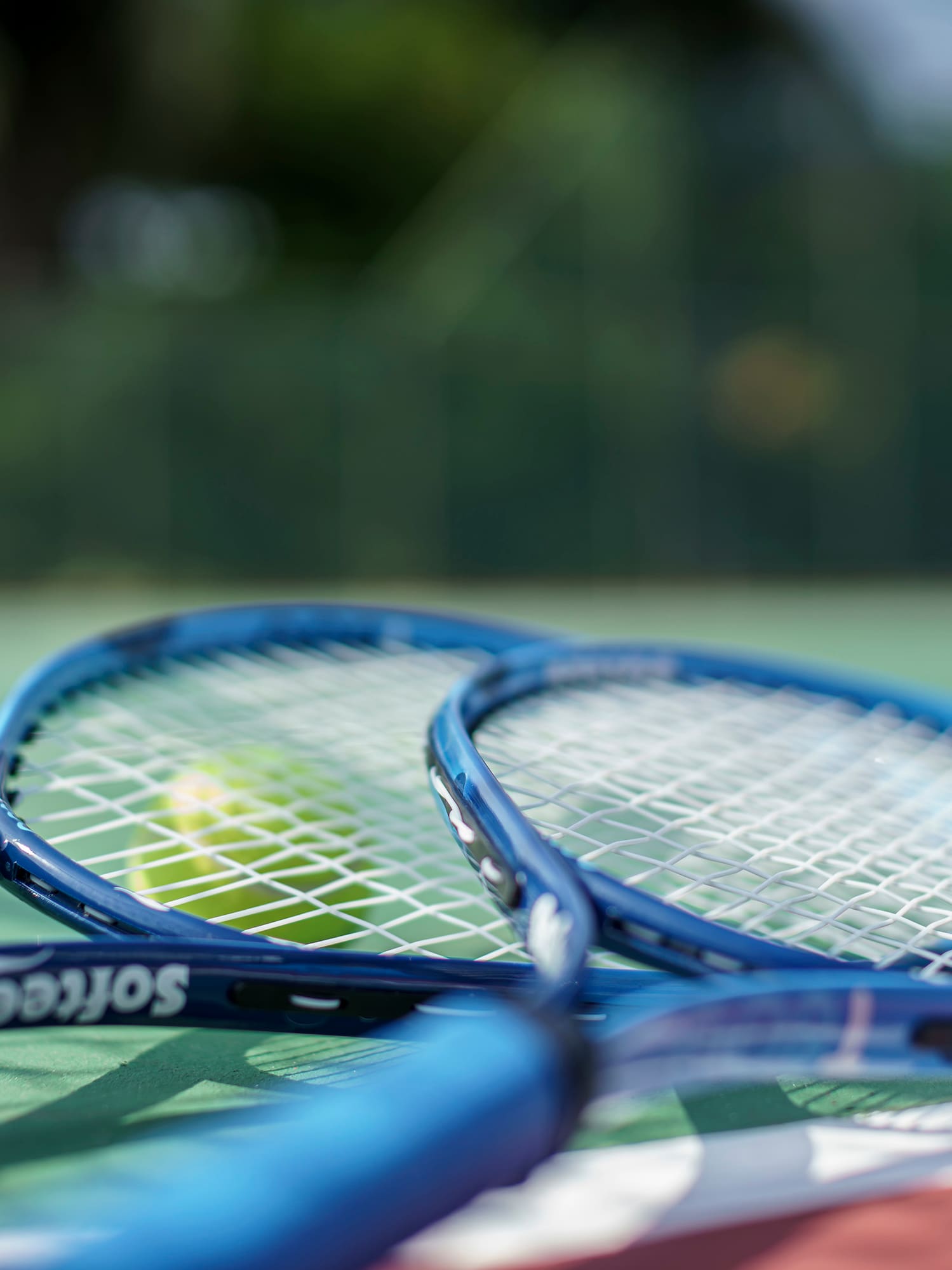 a tennis rackets and a ball on a tennis court