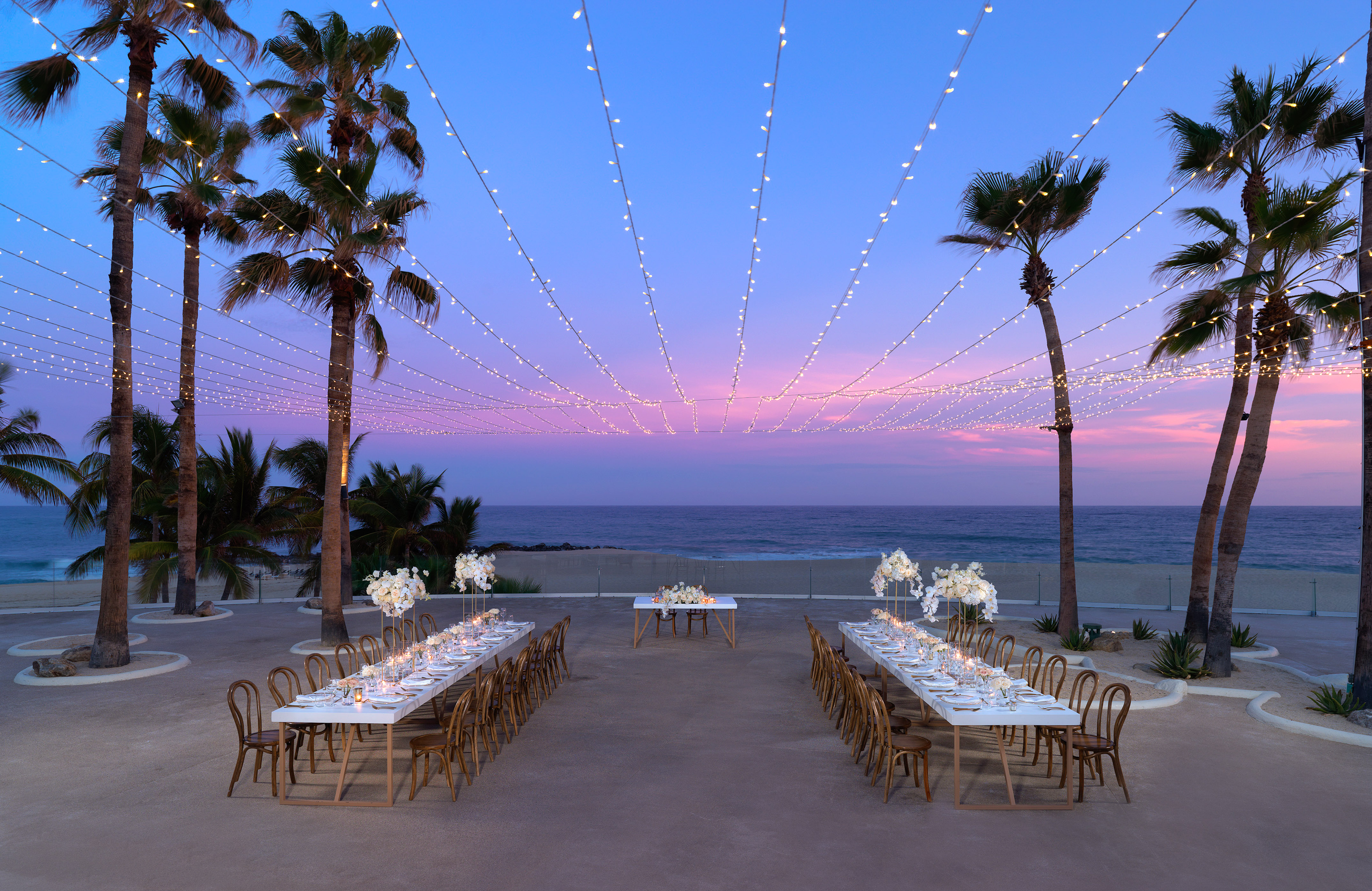 Elegant beachfront dinner setup with string lights, palm trees, and sunset ocean view. - Terraza Océano 2 - Paradisus Los Cabos - Adults Only, Los Cabos