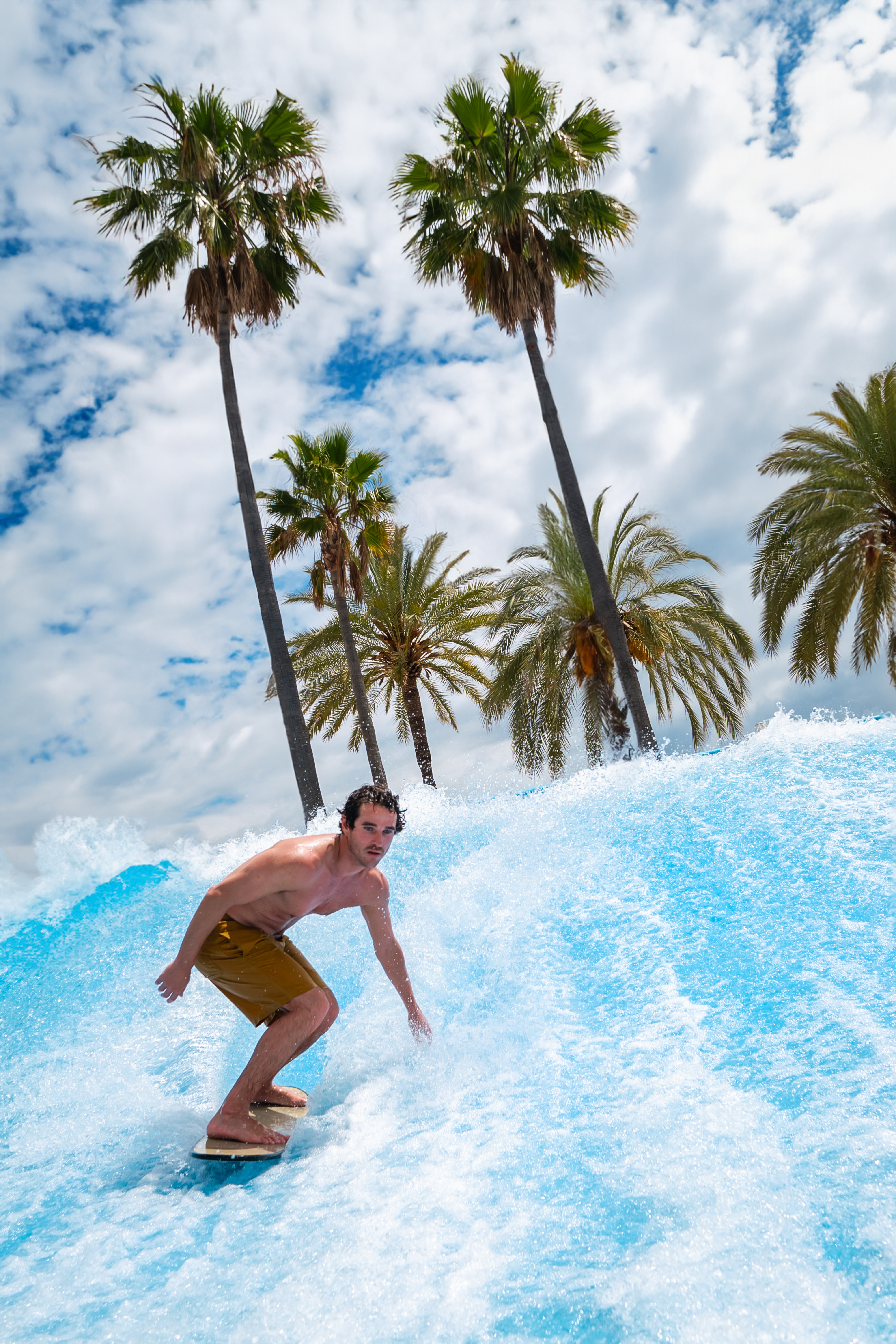 Man surfing an artificial wave with palm trees at a resort water park.