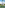 Woman doing yoga Tree Pose outdoors on grass with palm trees and ocean.