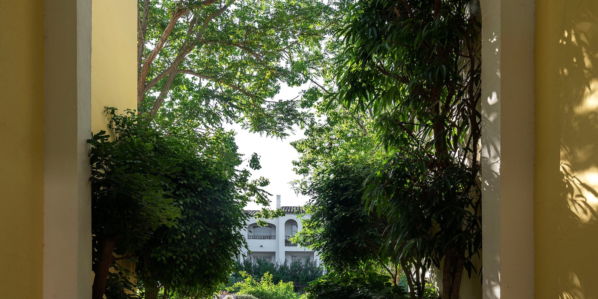 a archway with trees and a building in the background
