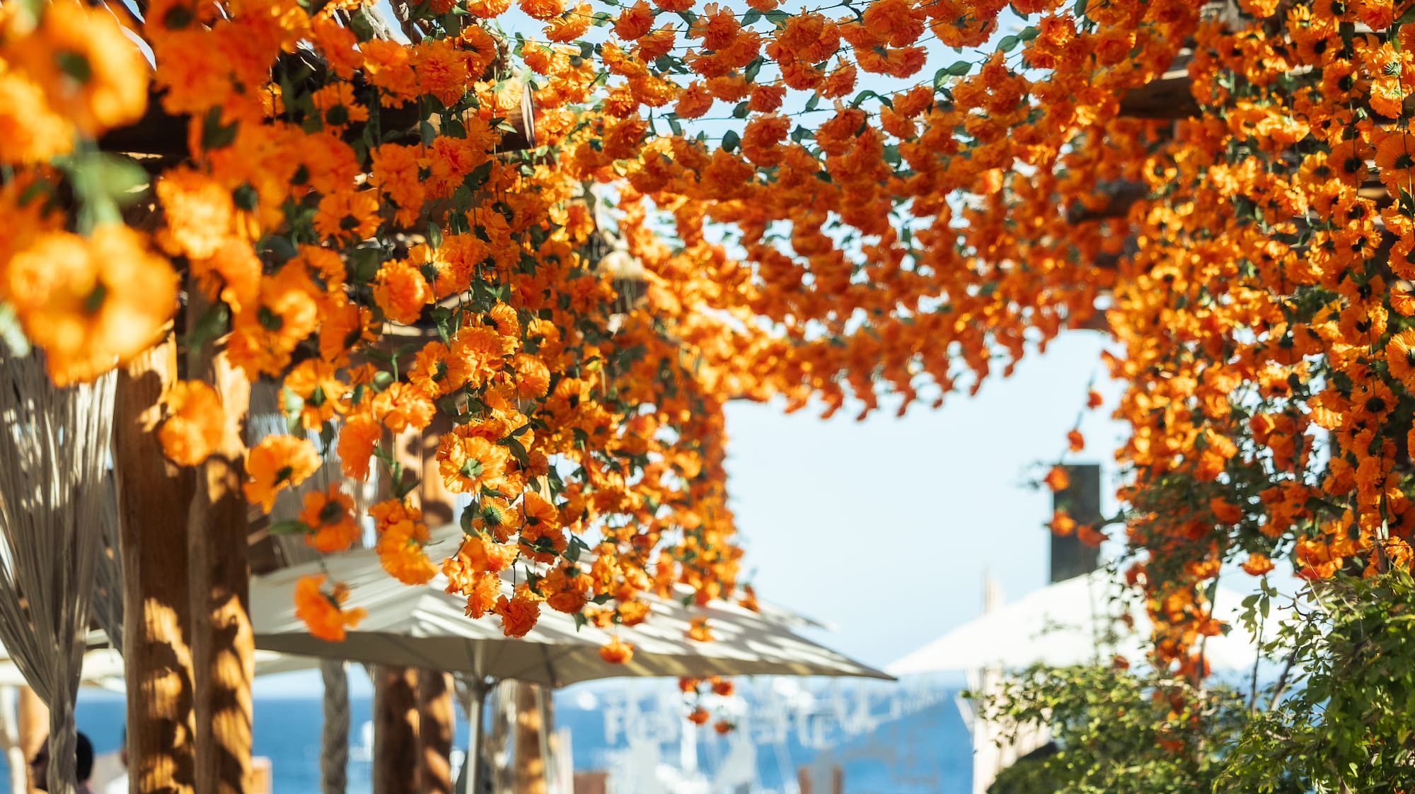a walkway with orange flowers
