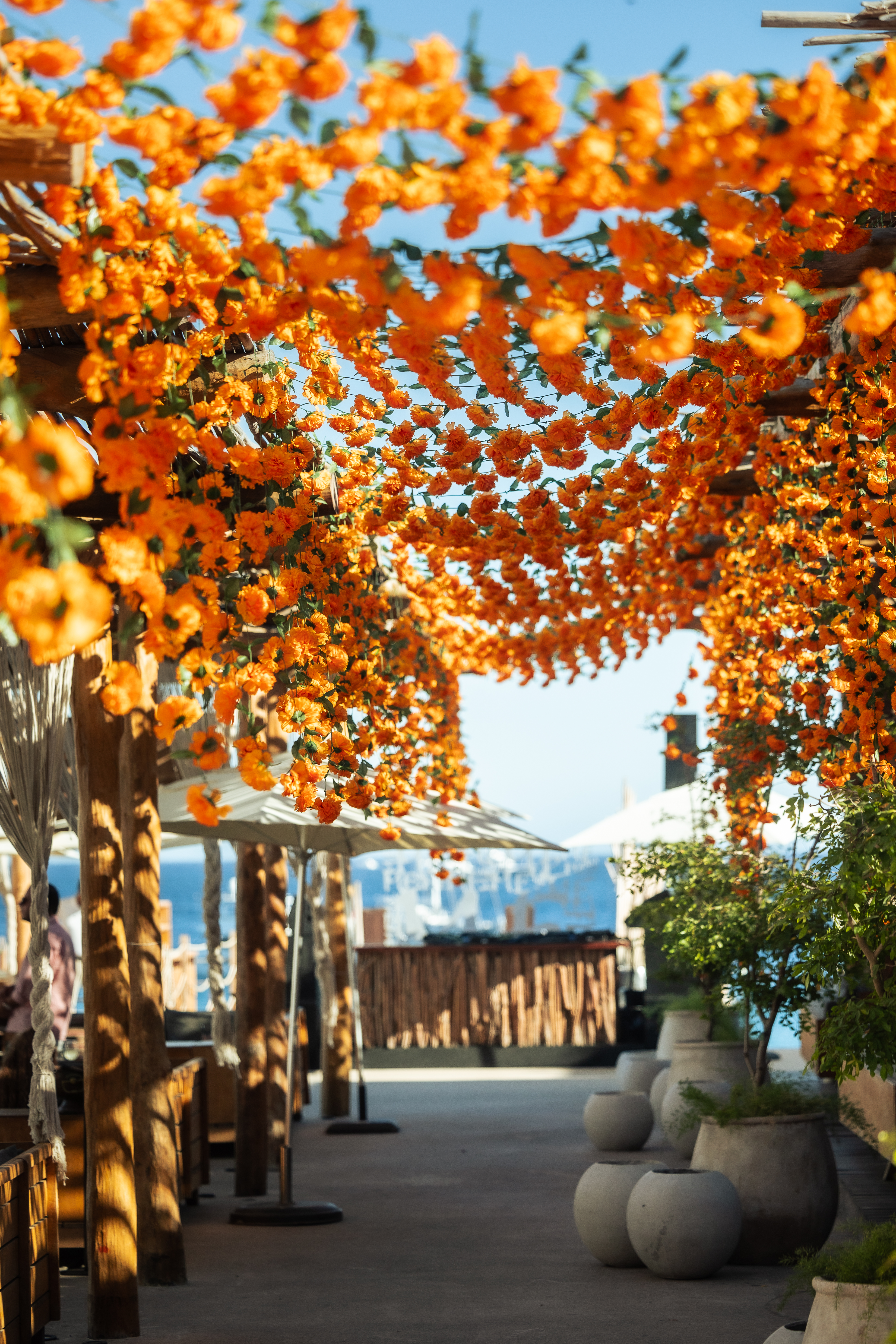 a walkway with orange flowers