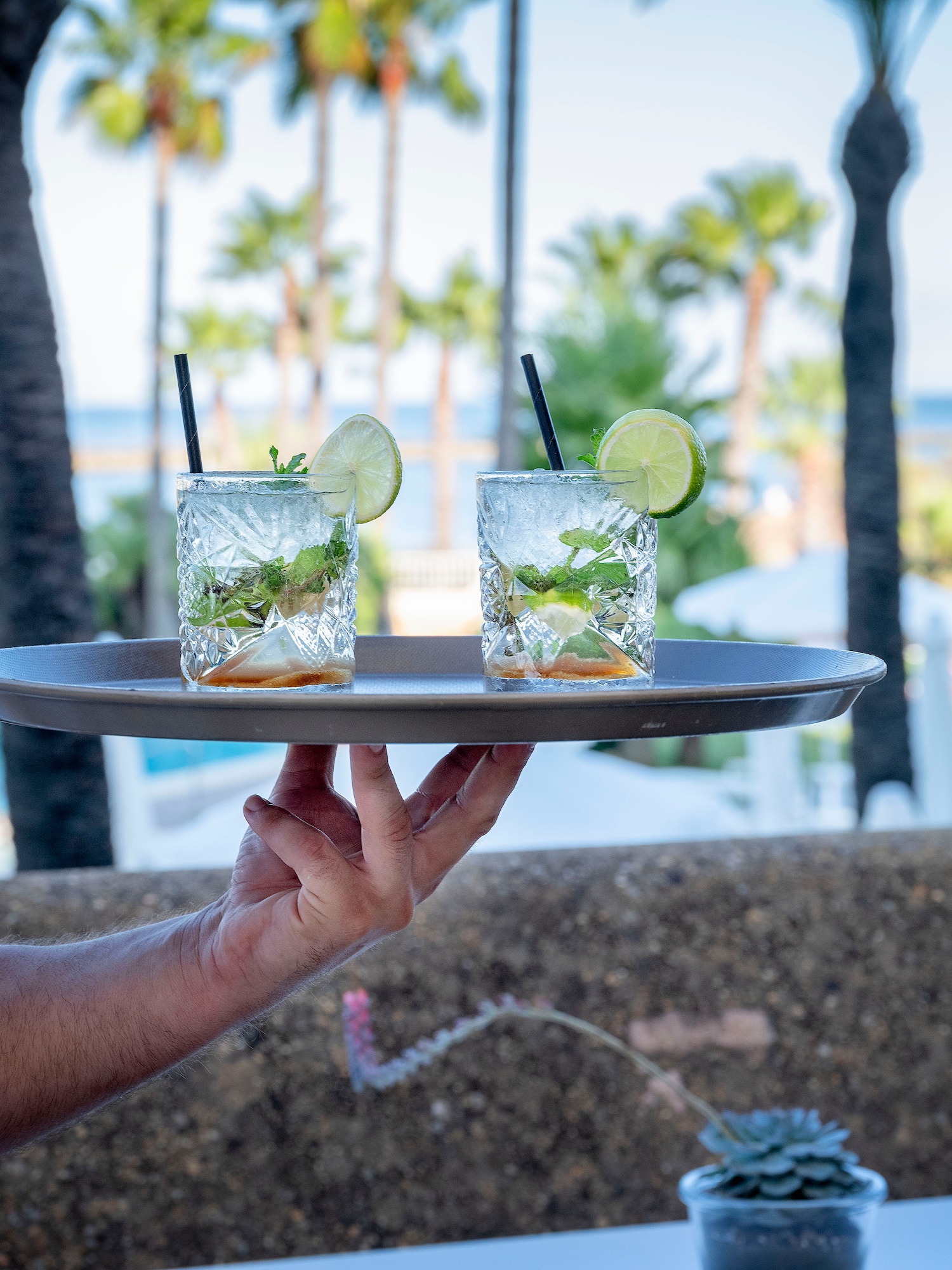 a person holding a tray with drinks on it