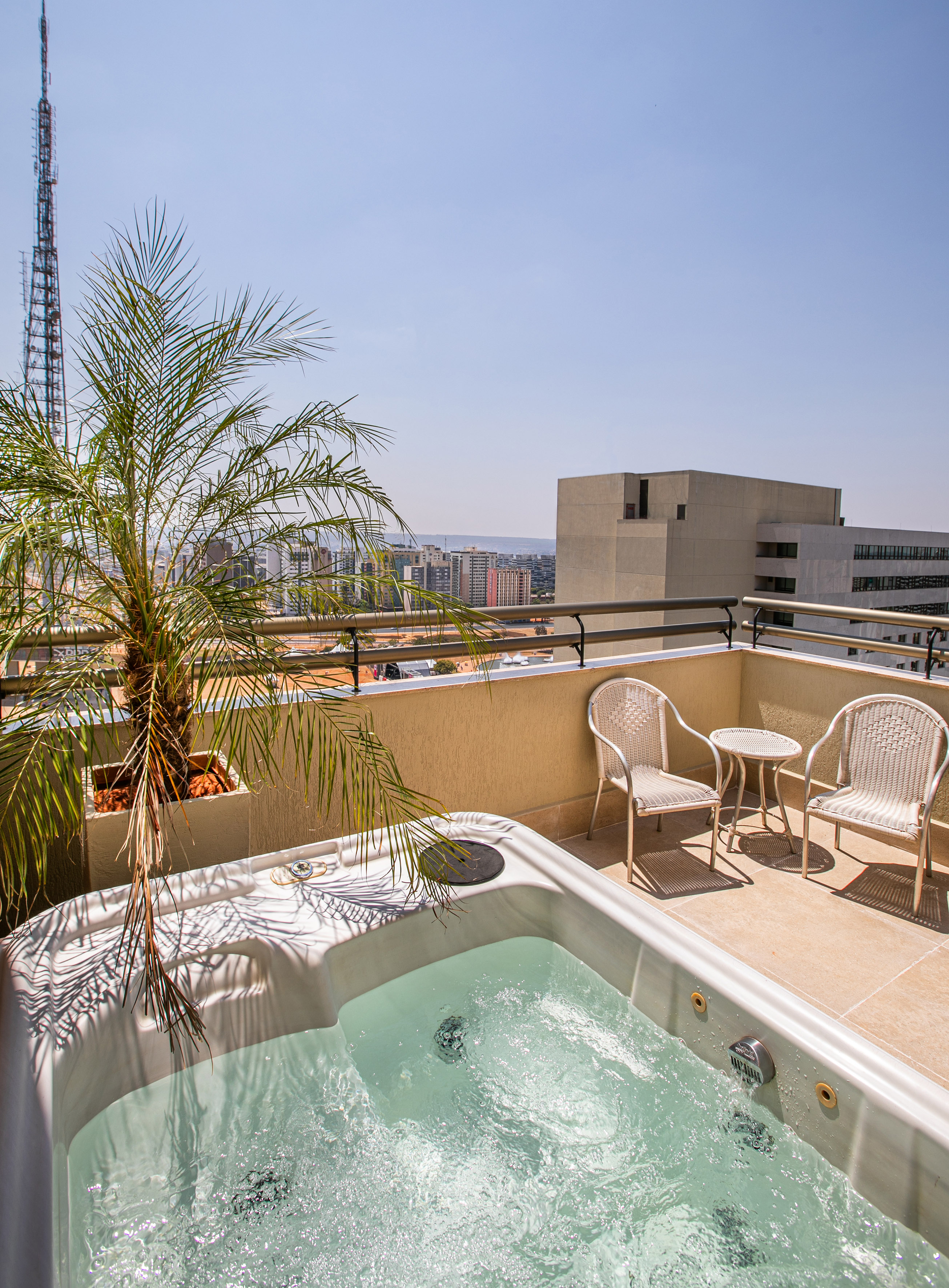 Rooftop jacuzzi with city skyline view, palm tree, and outdoor lounge chairs.
