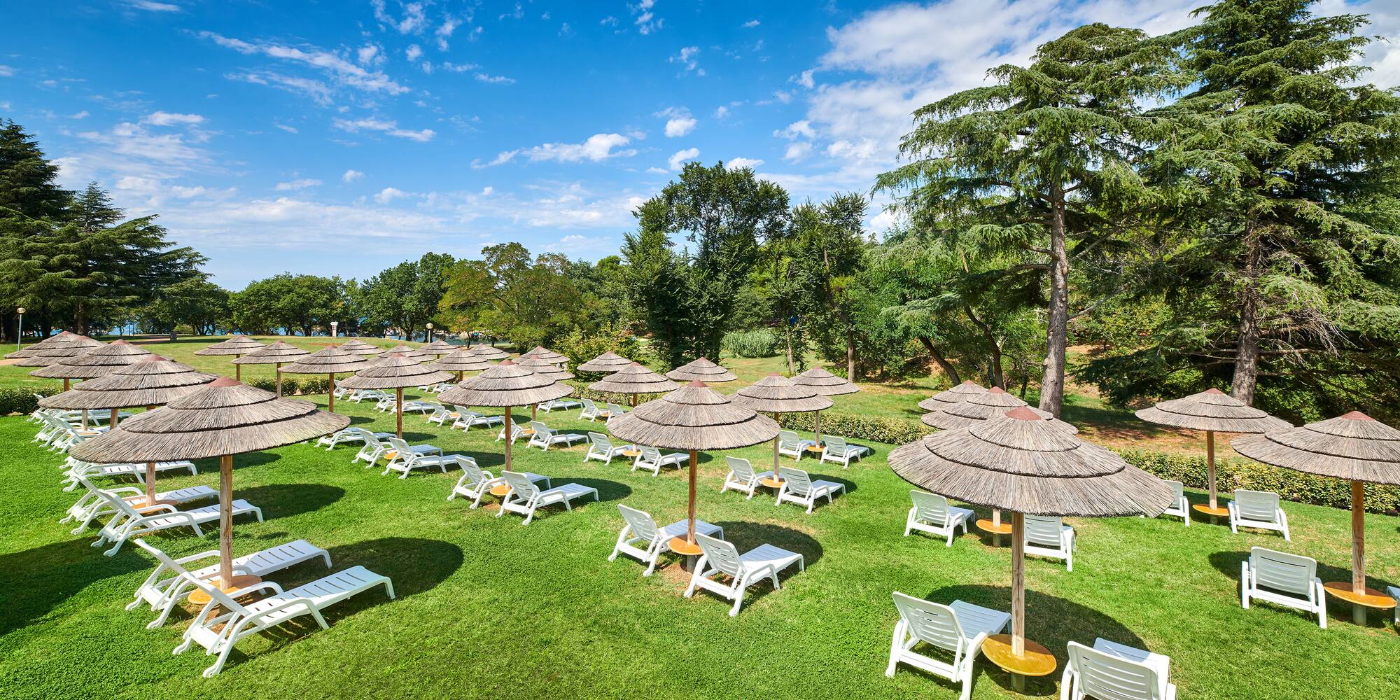 a group of chairs and umbrellas on a lawn