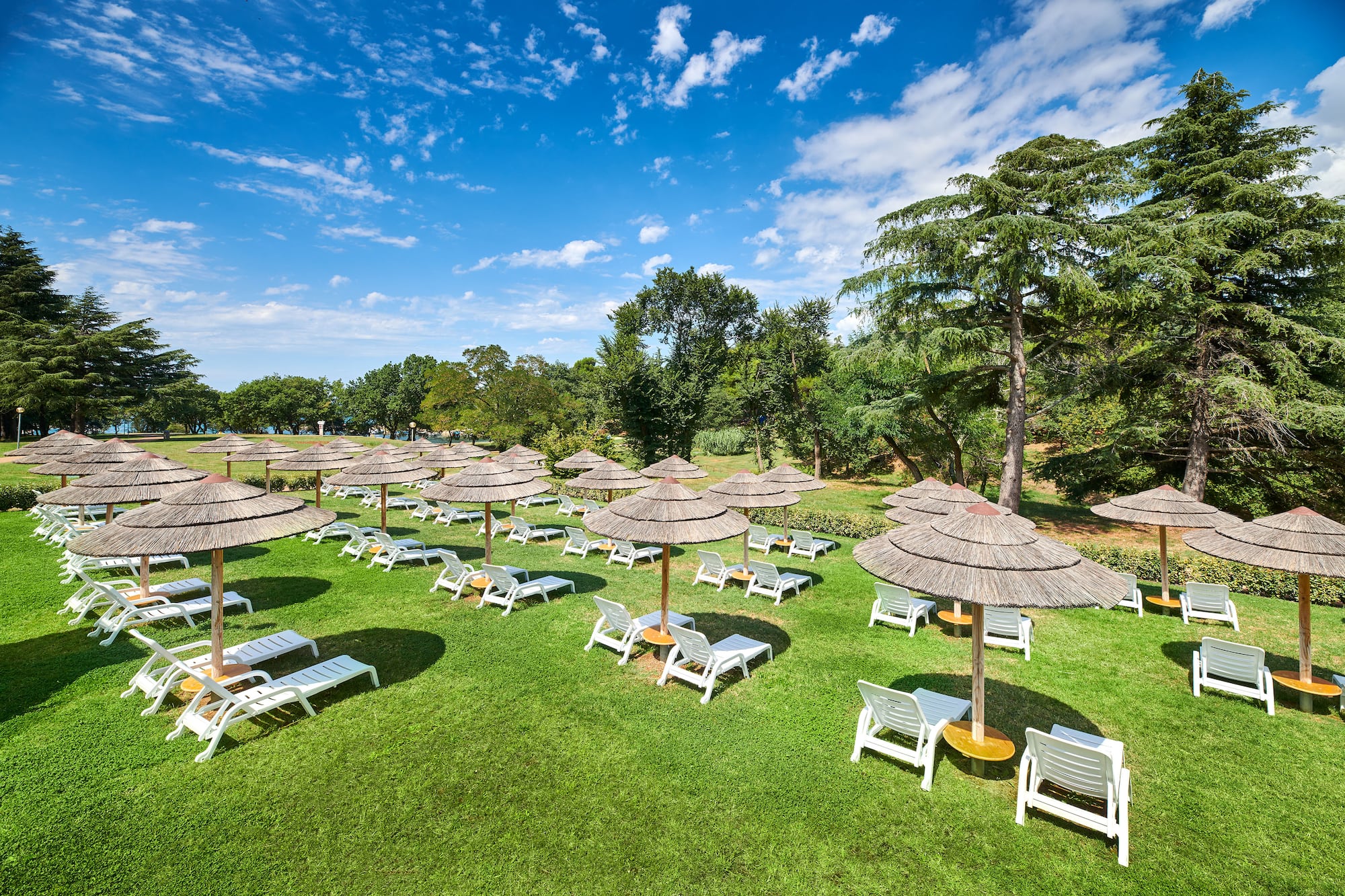 a group of chairs and umbrellas on a lawn