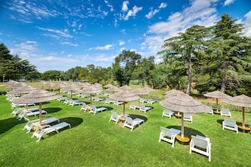 a group of chairs and umbrellas on a lawn