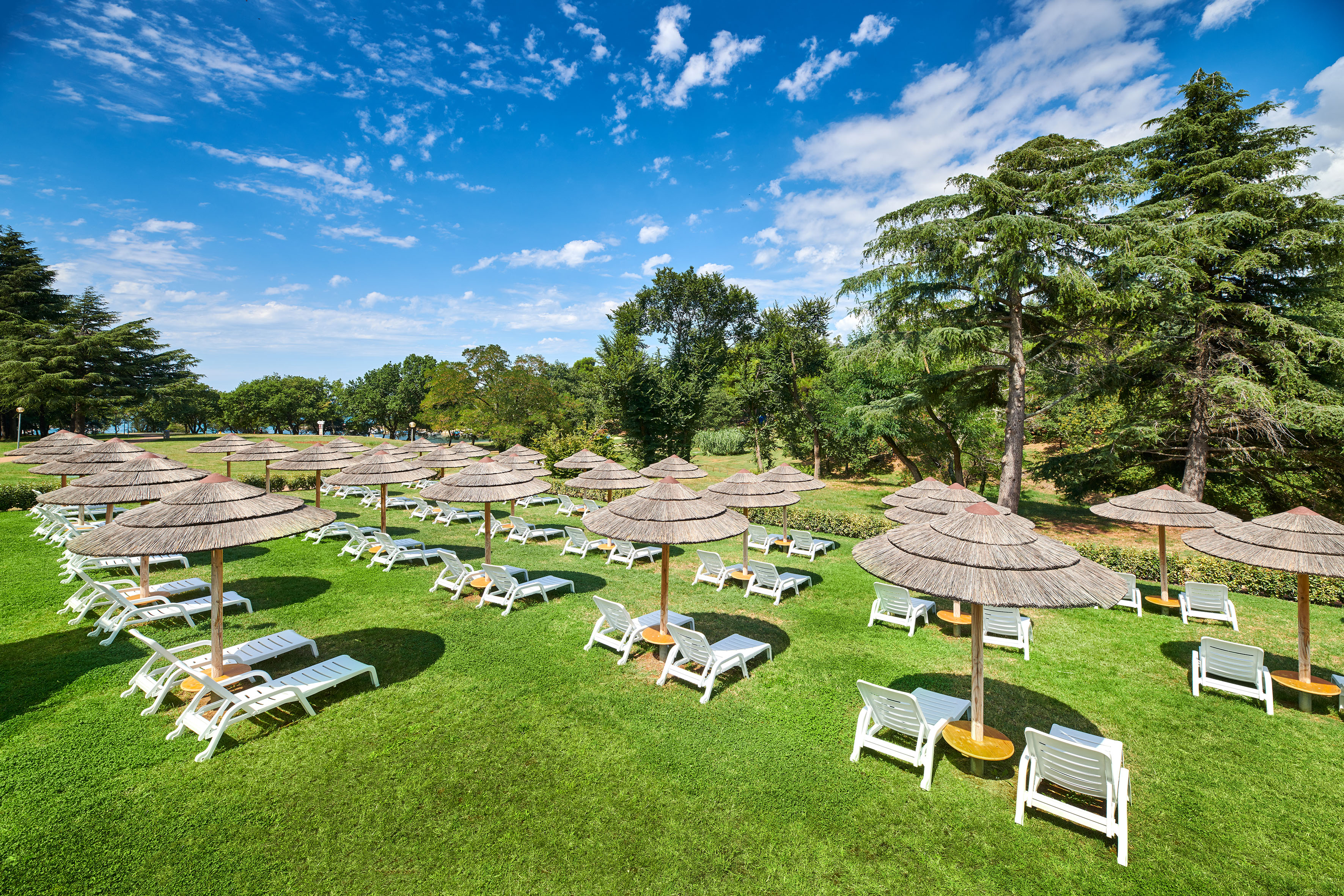 a group of chairs and umbrellas on a lawn
