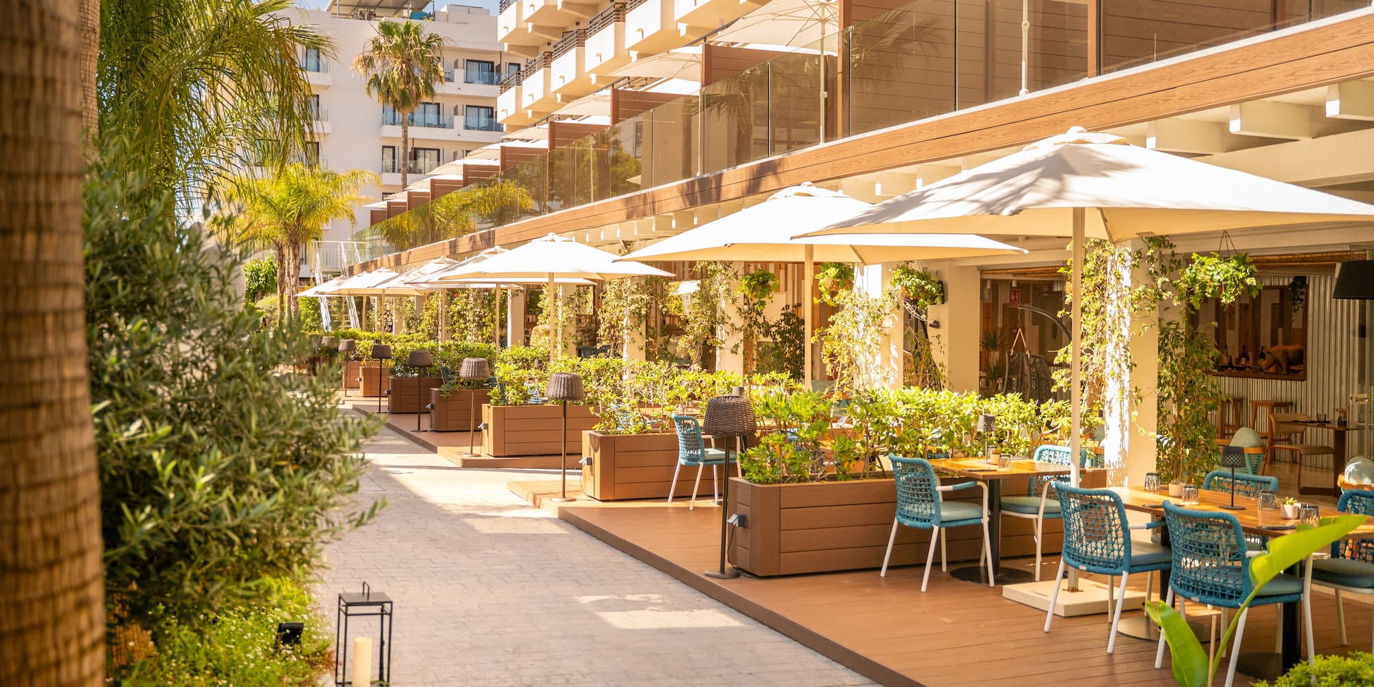 Outdoor resort restaurant terrace with sun umbrellas, turquoise chairs, and palm trees.