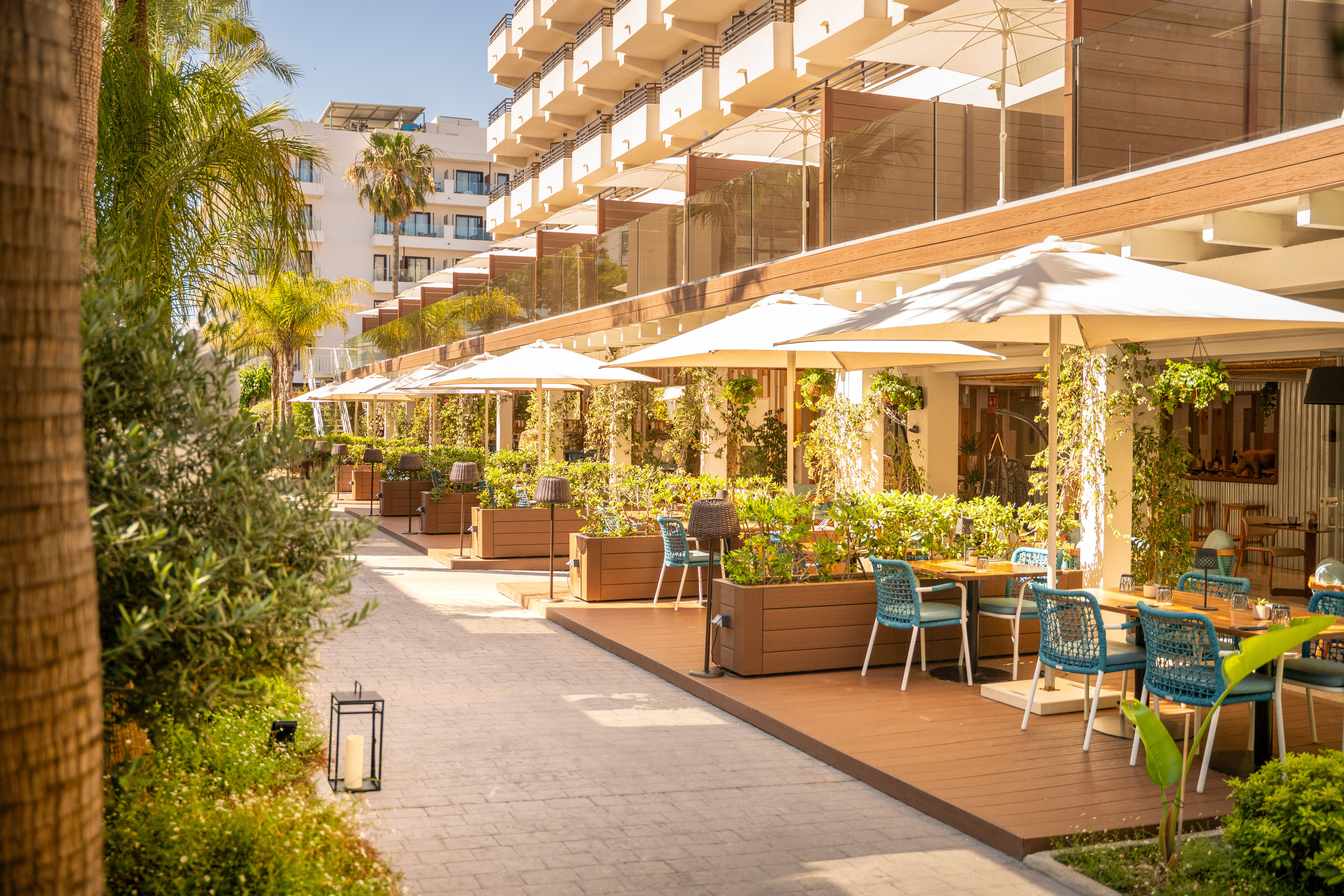 Outdoor resort restaurant terrace with sun umbrellas, turquoise chairs, and palm trees.