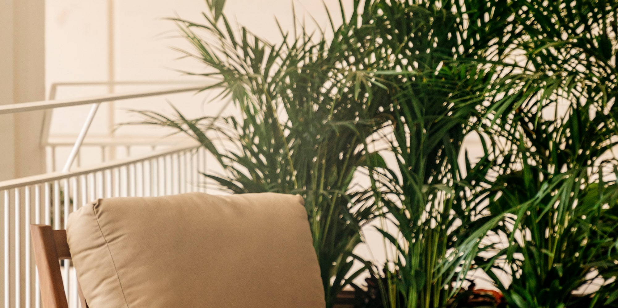 una sedia e un tavolo con un libro, un piattino e un piatto con dolci